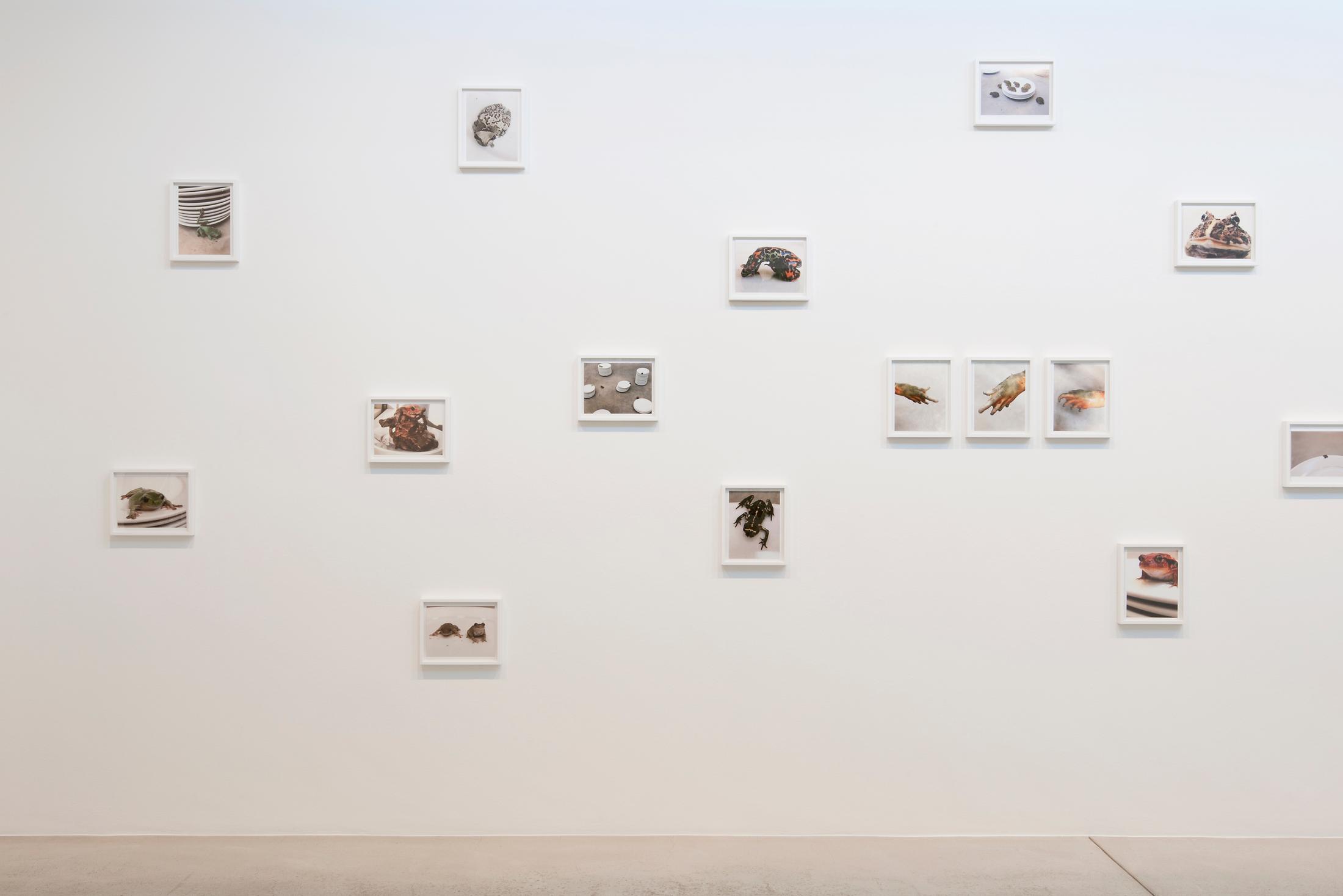 Exhibition View Juergen Teller «Enjoy – Your Life!» at Fotomuseum Winterthur / Photo: Christian Schwager / Courtesy: the artist and Fotomuseum Winterthur