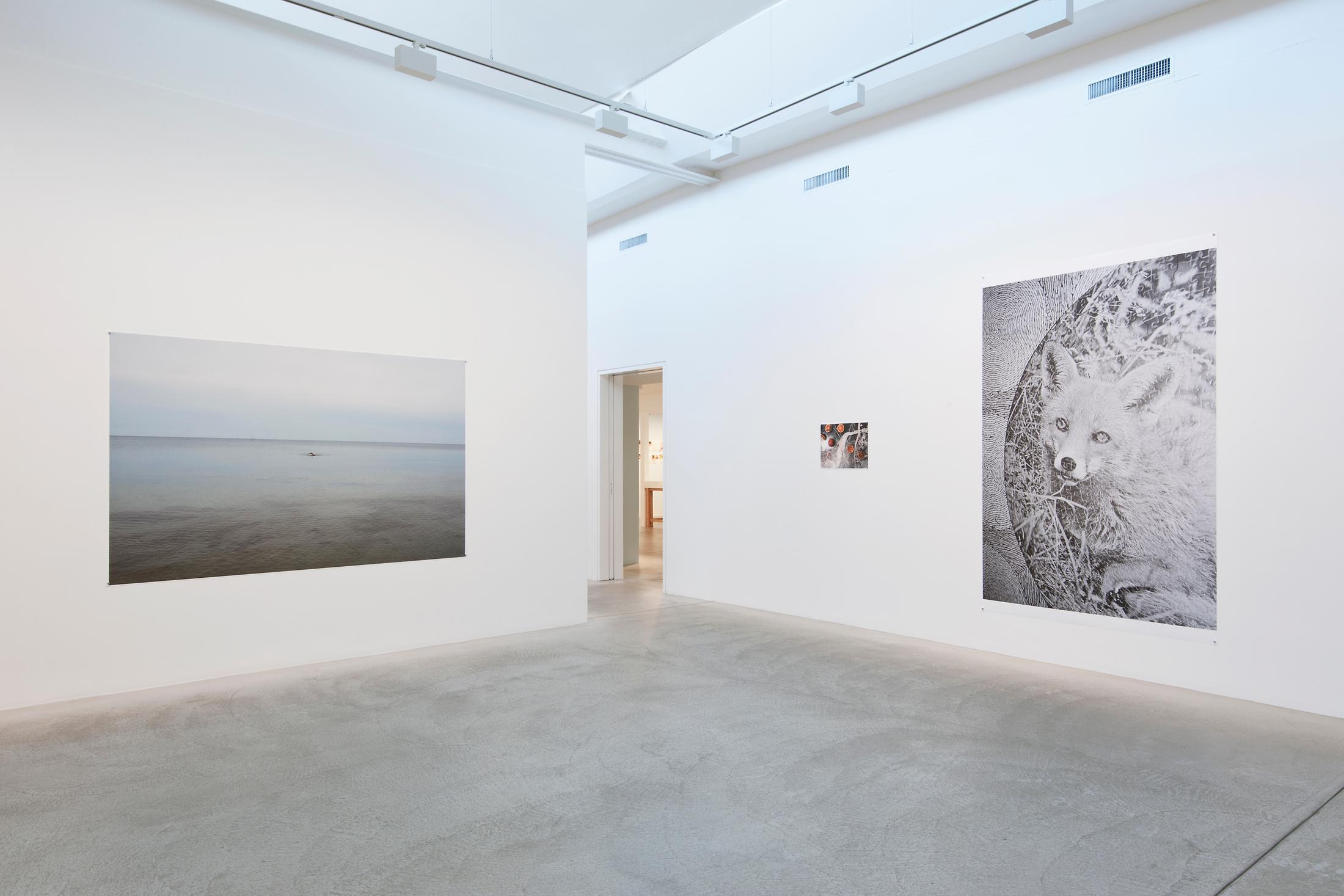 Exhibition View Juergen Teller «Enjoy – Your Life!» at Fotomuseum Winterthur / Photo: Christian Schwager / Courtesy: the artist and Fotomuseum Winterthur