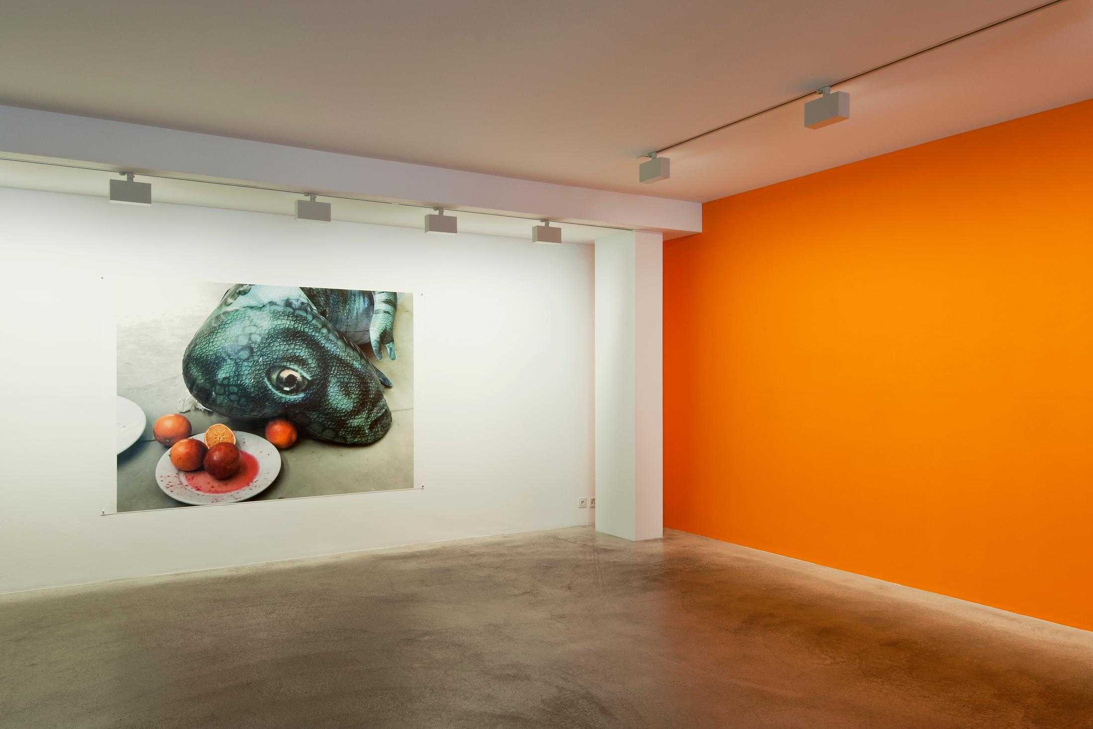 Exhibition View Juergen Teller «Enjoy – Your Life!» at Fotomuseum Winterthur / Photo: Christian Schwager / Courtesy: the artist and Fotomuseum Winterthur