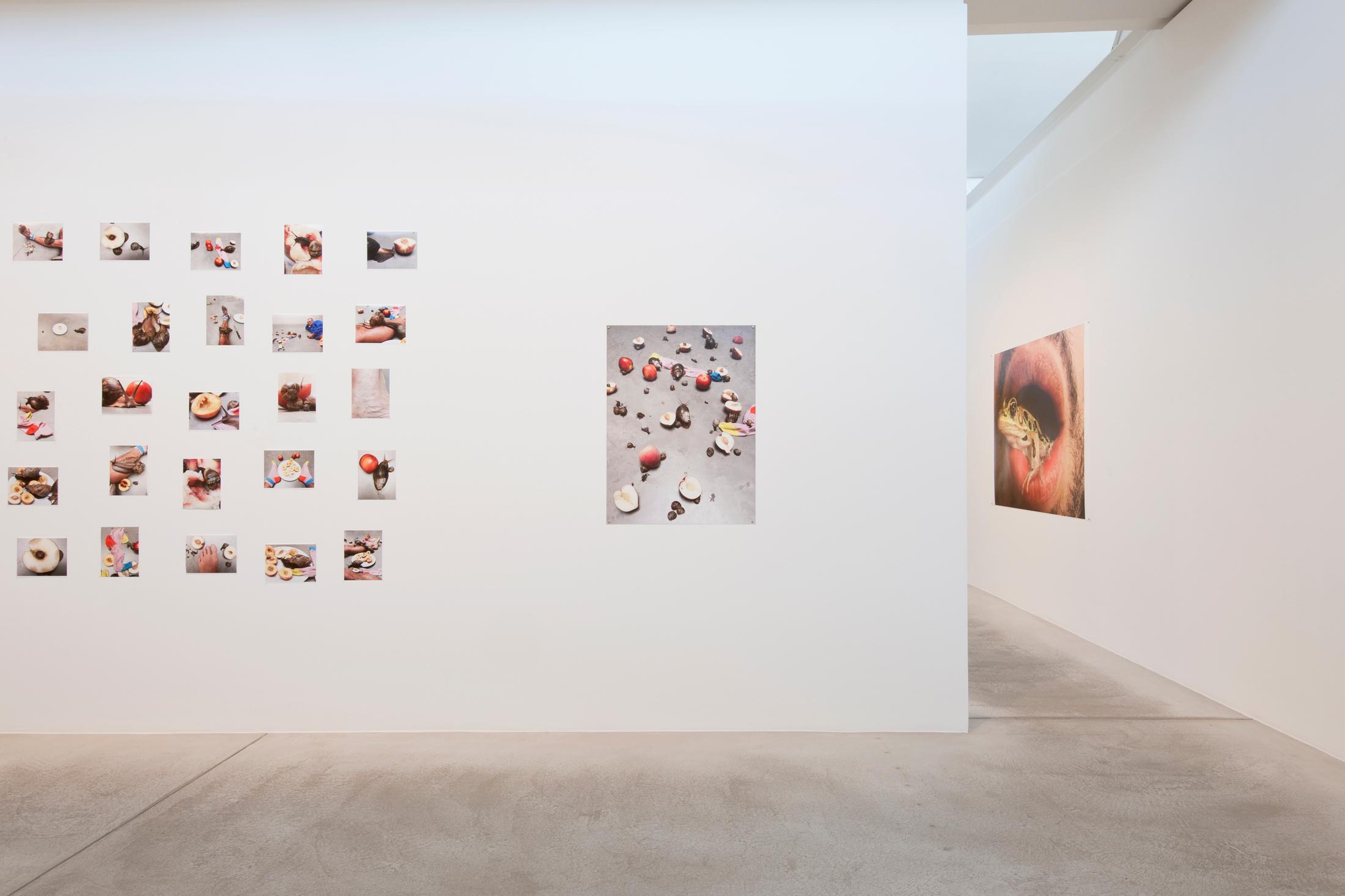 Exhibition View Juergen Teller «Enjoy – Your Life!» at Fotomuseum Winterthur / Photo: Christian Schwager / Courtesy: the artist and Fotomuseum Winterthur