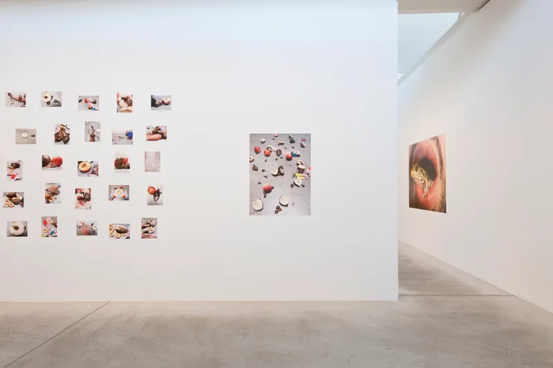 Exhibition View Juergen Teller «Enjoy – Your Life!» at Fotomuseum Winterthur / Photo: Christian Schwager / Courtesy: the artist and Fotomuseum Winterthur