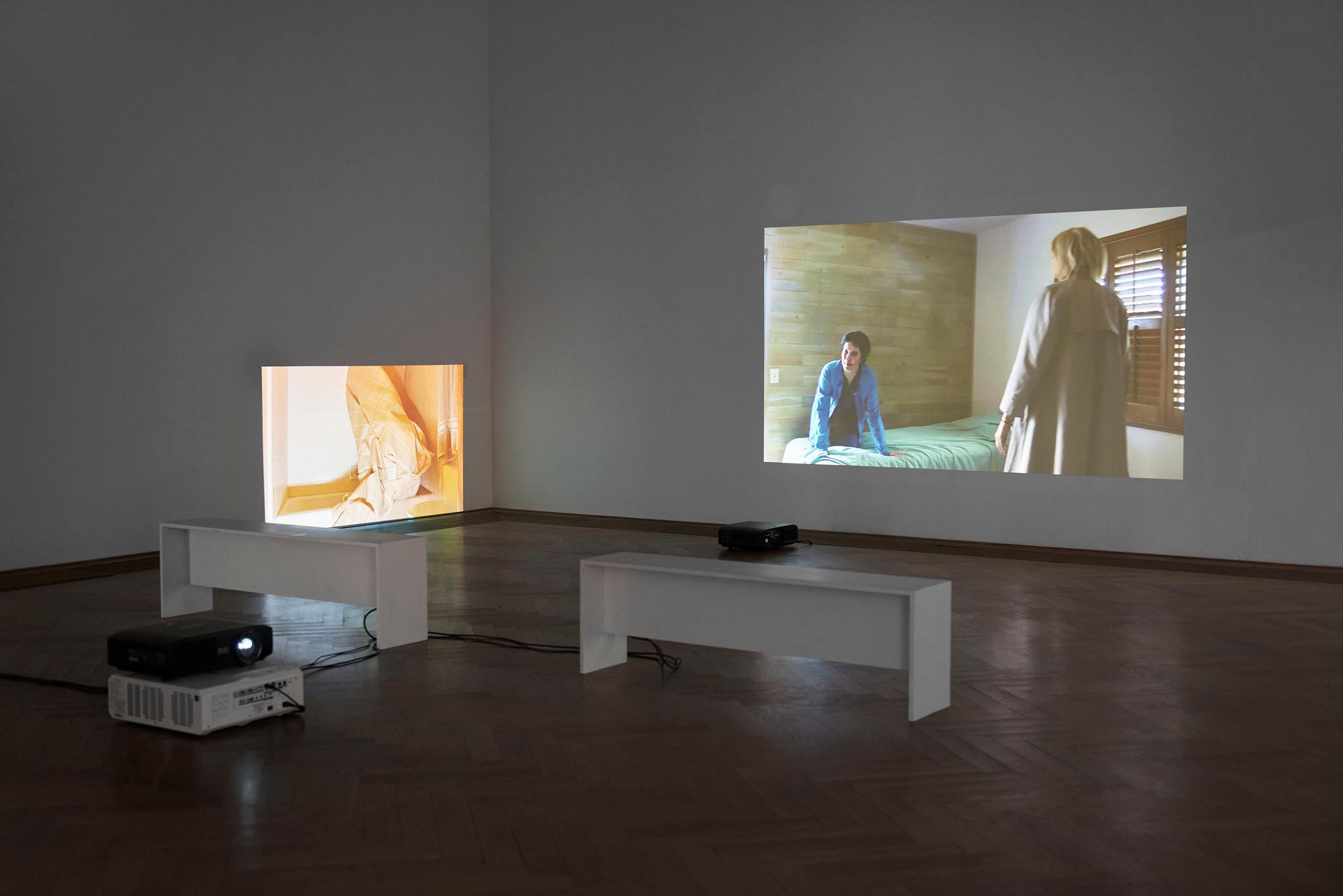 Exhibition View Kaari Upson Soloshow «Go Back the Way You Came; view on Prairie Fundamentalism, 2019, and A Place For a Snake, 2019» at Kunsthalle Basel, Basel, 2019 / Photo: Philipp Hänger / Courtesy: the artist and Kunsthalle Basel