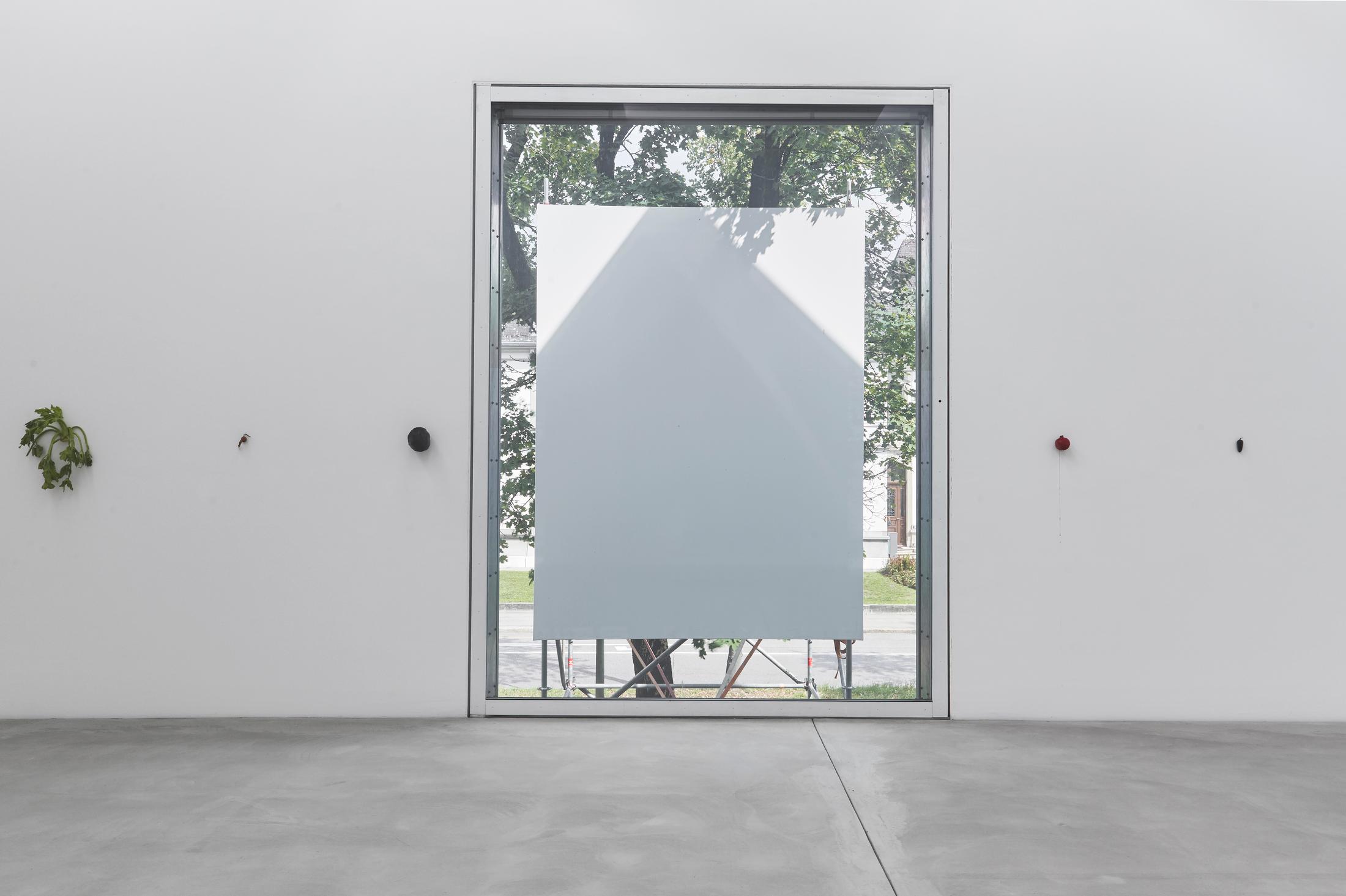 Exhibition View Karin Sander Soloshow «view on Fensterbild 2, 2018» at Kunstmuseum Winterthur / Photo: Lucas Ziegler / Courtesy: Courtesy the artist and Esther Schipper, Berlin