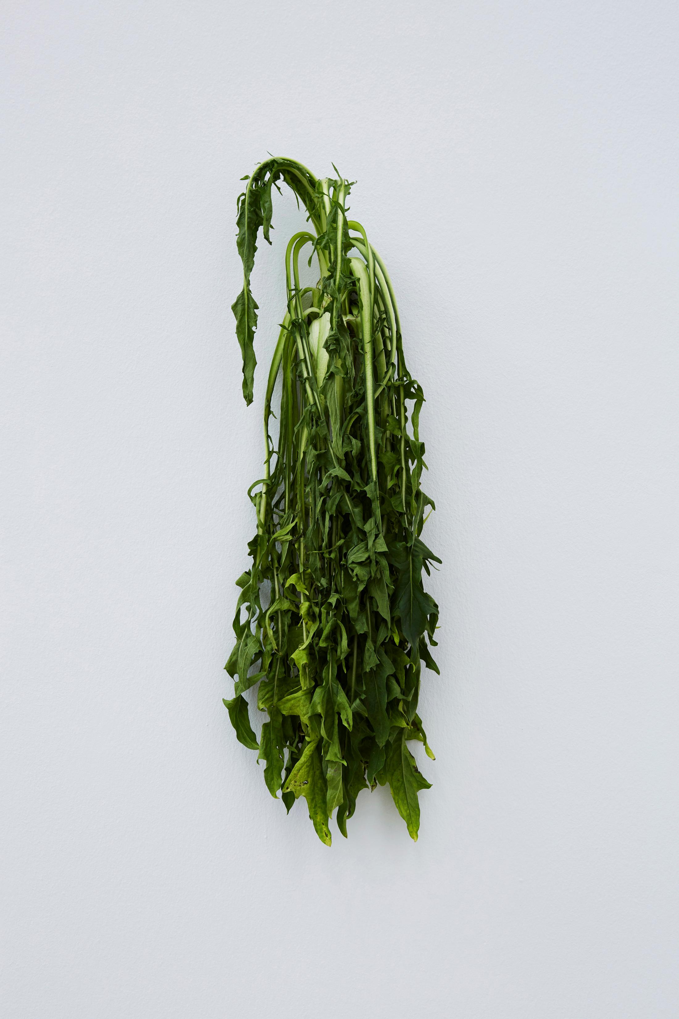 Exhibition View Karin Sander Soloshow «view on Kitchen Piece, 2012/2018» at Kunstmuseum Winterthur / Photo: Lucas Ziegler / Courtesy: the artist, Galerien Helga de Alvear, Madrid, Barbara Gross, München, i8, Reykjavik, nächst St. Stephan Rosemarie Schwarzwälder, Wien, Carolina Nitsch, New York, Esther Schipper, Berlin