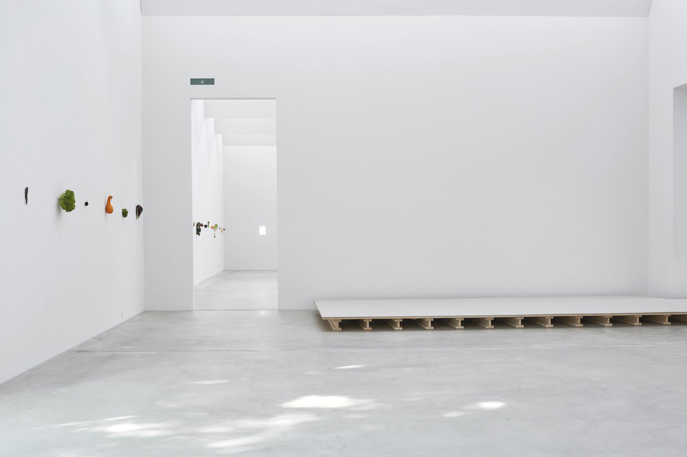 Exhibition View Karin Sander Soloshow «view on Kitchen Pieces, 2012/2018 and Boden, 1991/2018» at Kunstmuseum Winterthur / Photo: Lucas Ziegler