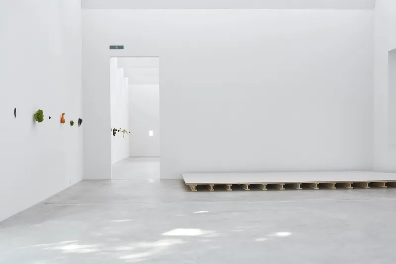 Exhibition View Karin Sander Soloshow «view on Kitchen Pieces, 2012/2018 and Boden, 1991/2018» at Kunstmuseum Winterthur / Photo: Lucas Ziegler