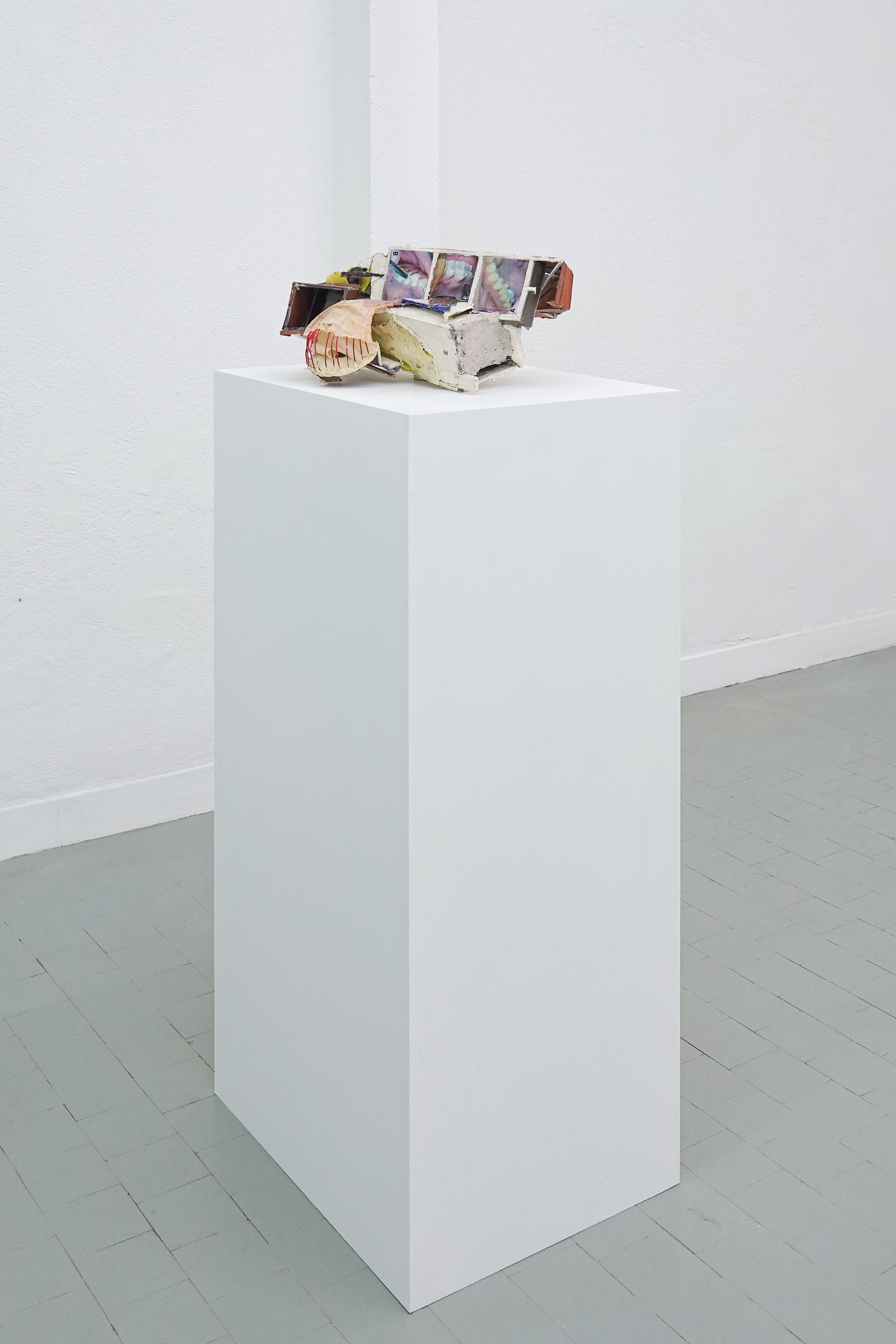 Exhibition View Group Show «Singalong; view on Anders Dickson, TEETH/removing hair explained, 2022» at Sgomento, Zurich, 2023 / Photo: SZ / Courtesy: the artist and Sgomento