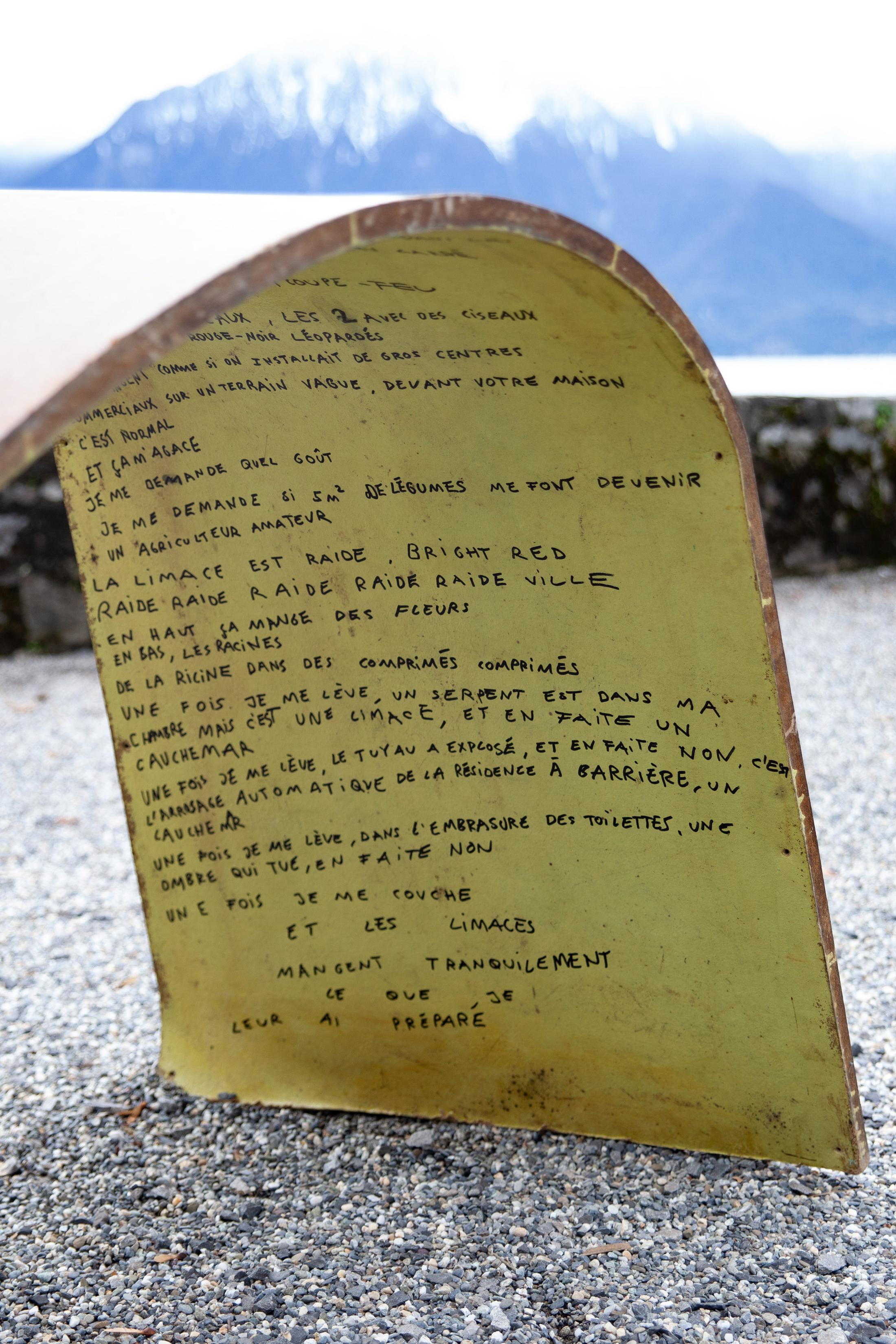 Exhibition View Groupshow «Modern Nature: An Hommage to Derek Jarman, part II; view on Victor Delétraz, L’alu les tuait [Aluminum killed them], 2020» at La Becque, La Tour-de-Peilz, 2020 / Photo: Diana Martin / Courtesy: the artists and La Becque