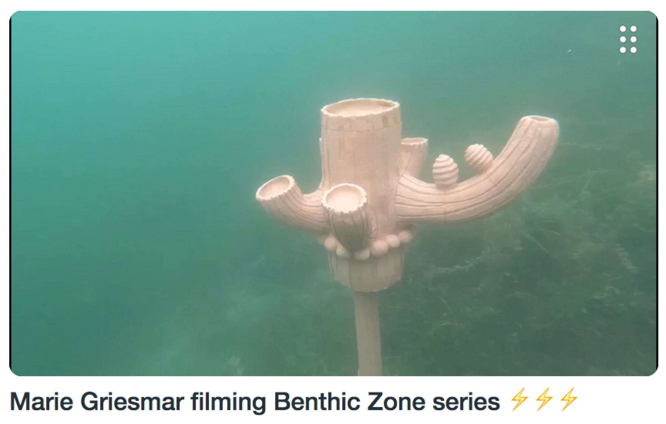 Marie Griesmar filming Benthic Zone series at their new underwater location, a few meters away from La Becque during Groupshow «Modern Nature: An Hommage to Derek Jarman, part II» at La Becque, La Tour-de-Peilz, 2020 / Video: Elise Lammer / Courtesy: the artists and La Becque