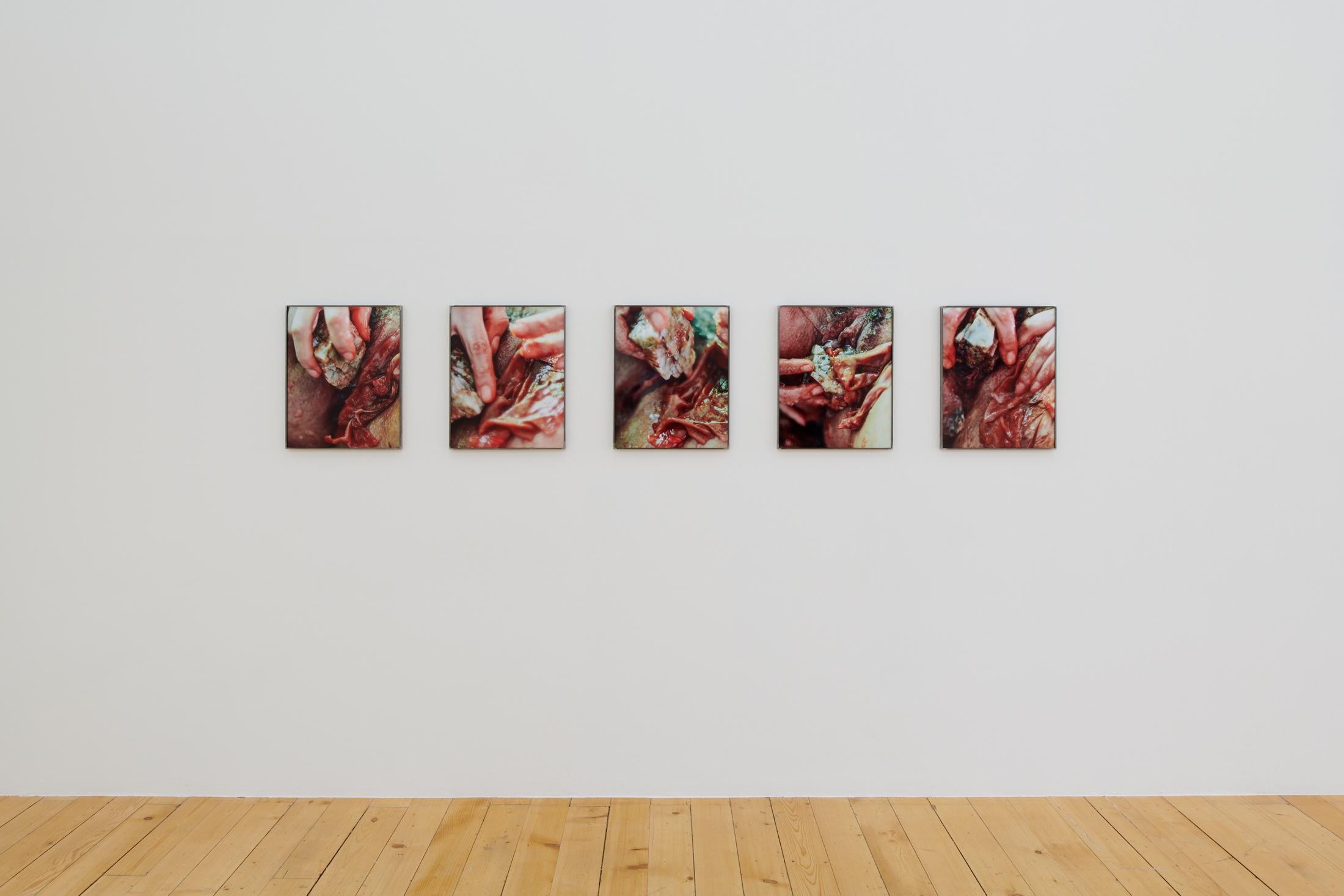 Exhibition View Group Show «La main-pleur; view on Julie Folly, High Vibration Frequencies, 2022» at Kunsthalle Friart, Fribourg, 2022-2023 / Photo: Guillaume Python / Courtesy: the artists and Kunsthalle Friart