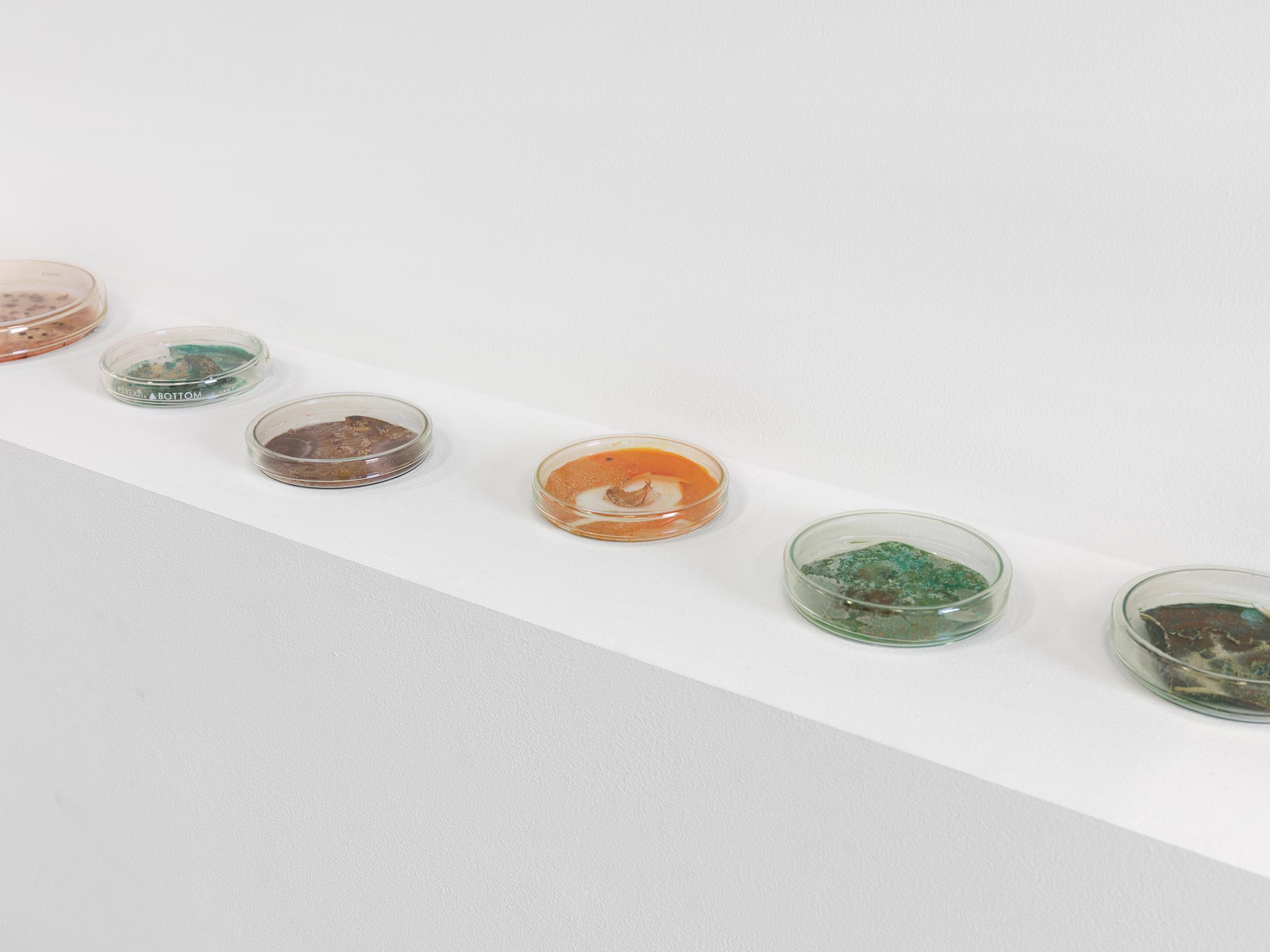 Exhibition View Liz Larner Solo Show «below above; view on Liz Larner, Cultures, 1988» at Kunsthalle Zürich, Zurich, 2022 / Photo: Annik Wetter / Courtesy: the artist and Sammlung Pakesch