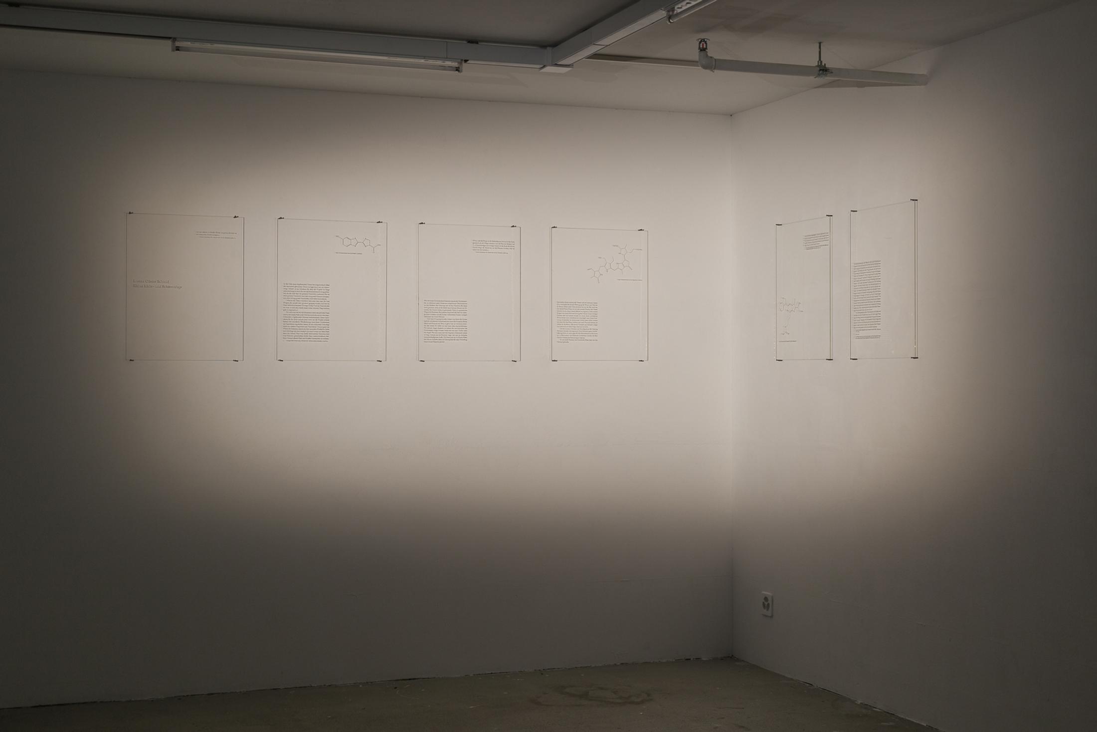 Courtesy: the artist / Photo: Kilian Bannwart, Kunsthalle Luzern