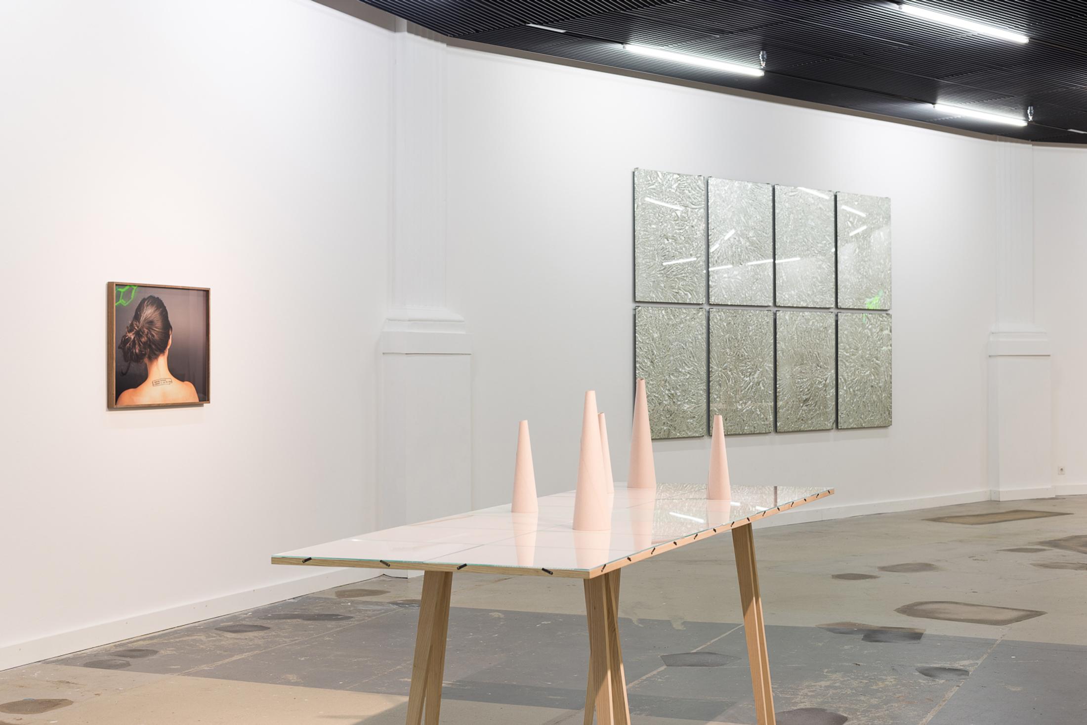 Courtesy: the artist / Photo: Kilian Bannwart, Kunsthalle Luzern