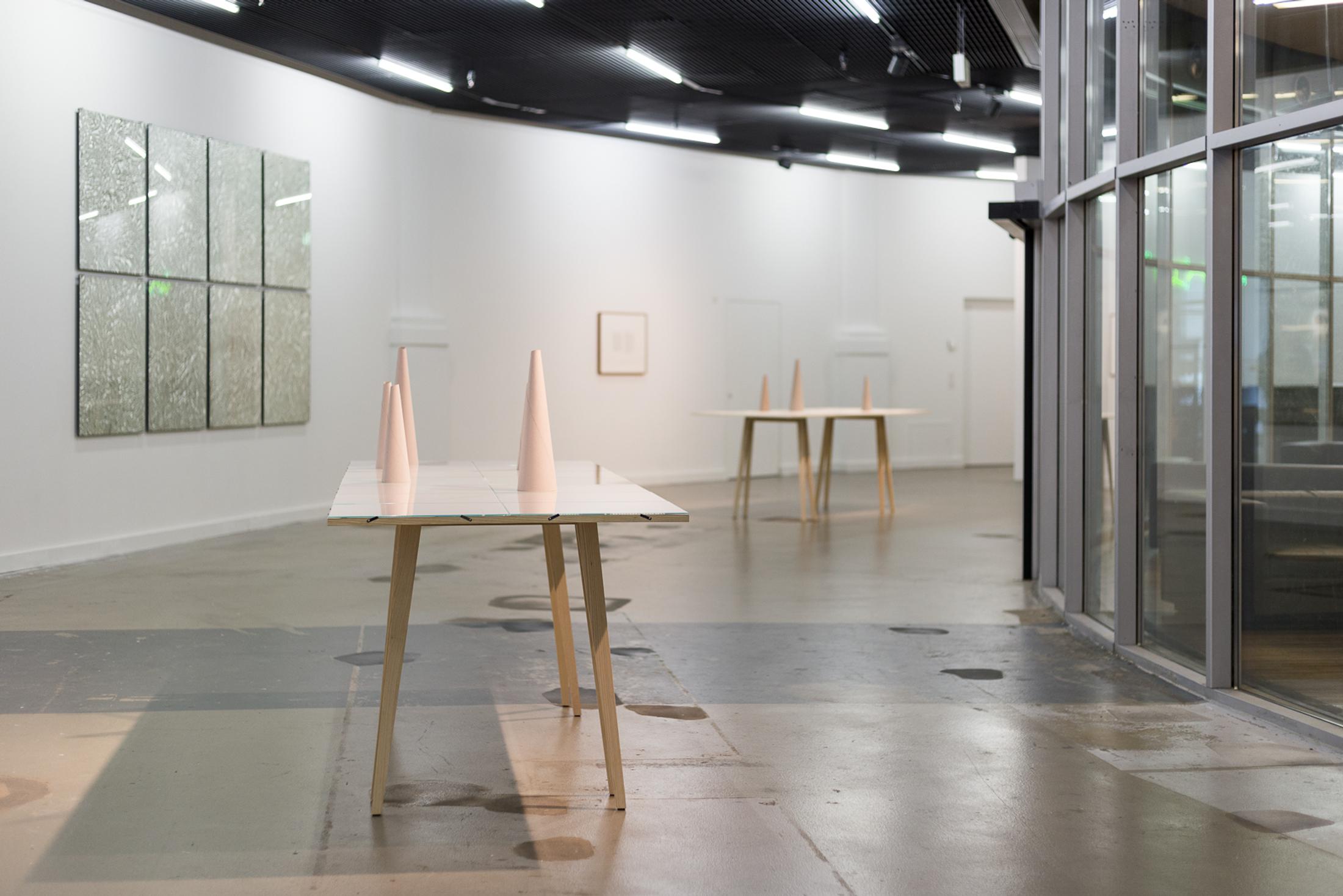 Courtesy: the artist / Photo: Kilian Bannwart, Kunsthalle Luzern