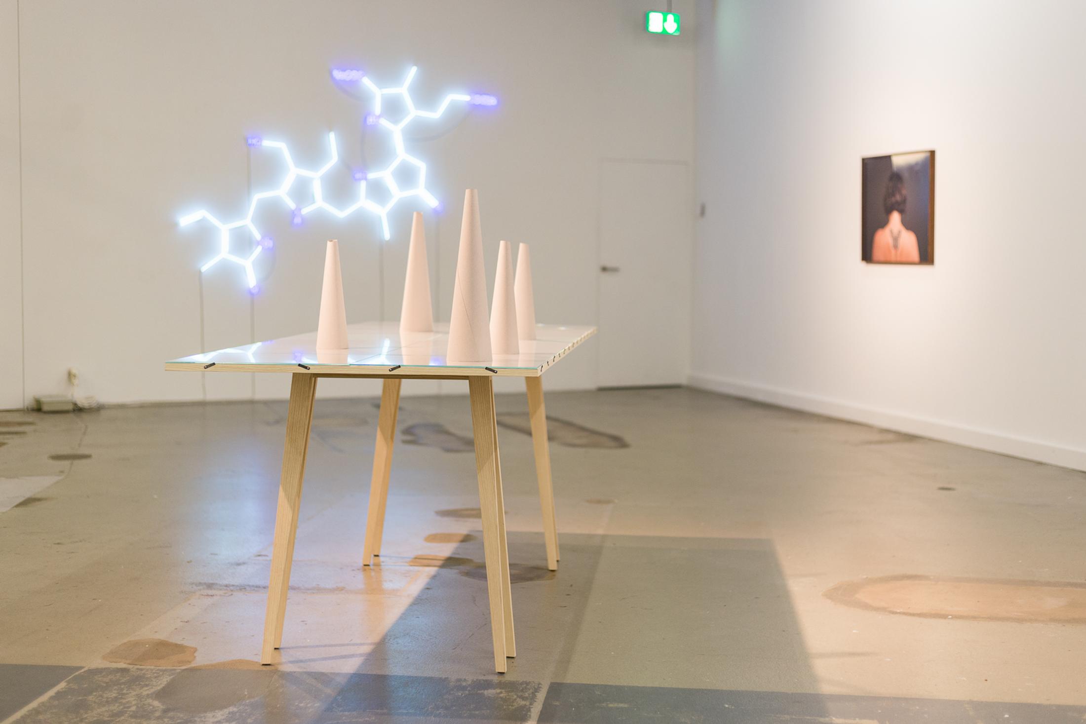 Courtesy: the artist / Photo: Kilian Bannwart, Kunsthalle Luzern