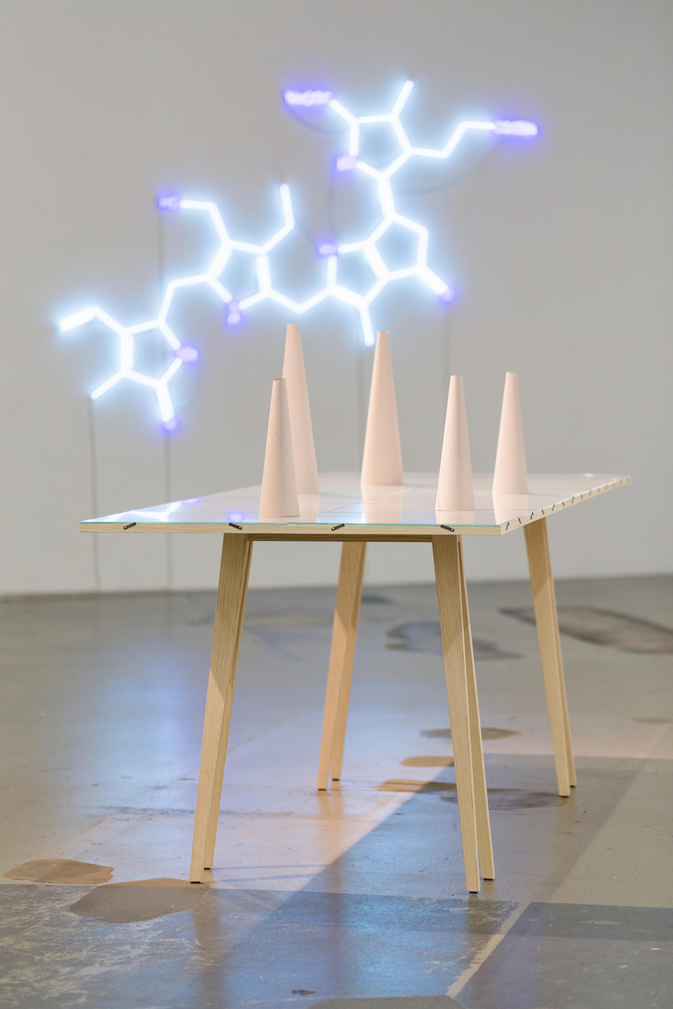 Courtesy: the artist / Photo: Kilian Bannwart, Kunsthalle Luzern