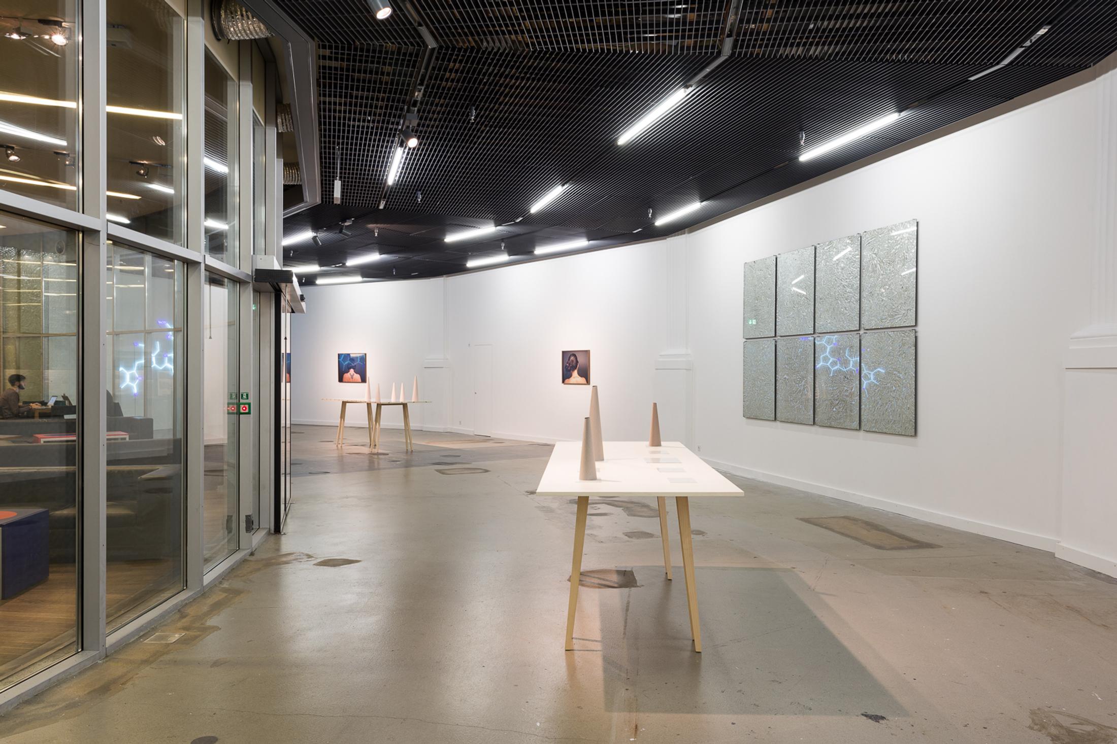 Courtesy: the artist / Photo: Kilian Bannwart, Kunsthalle Luzern