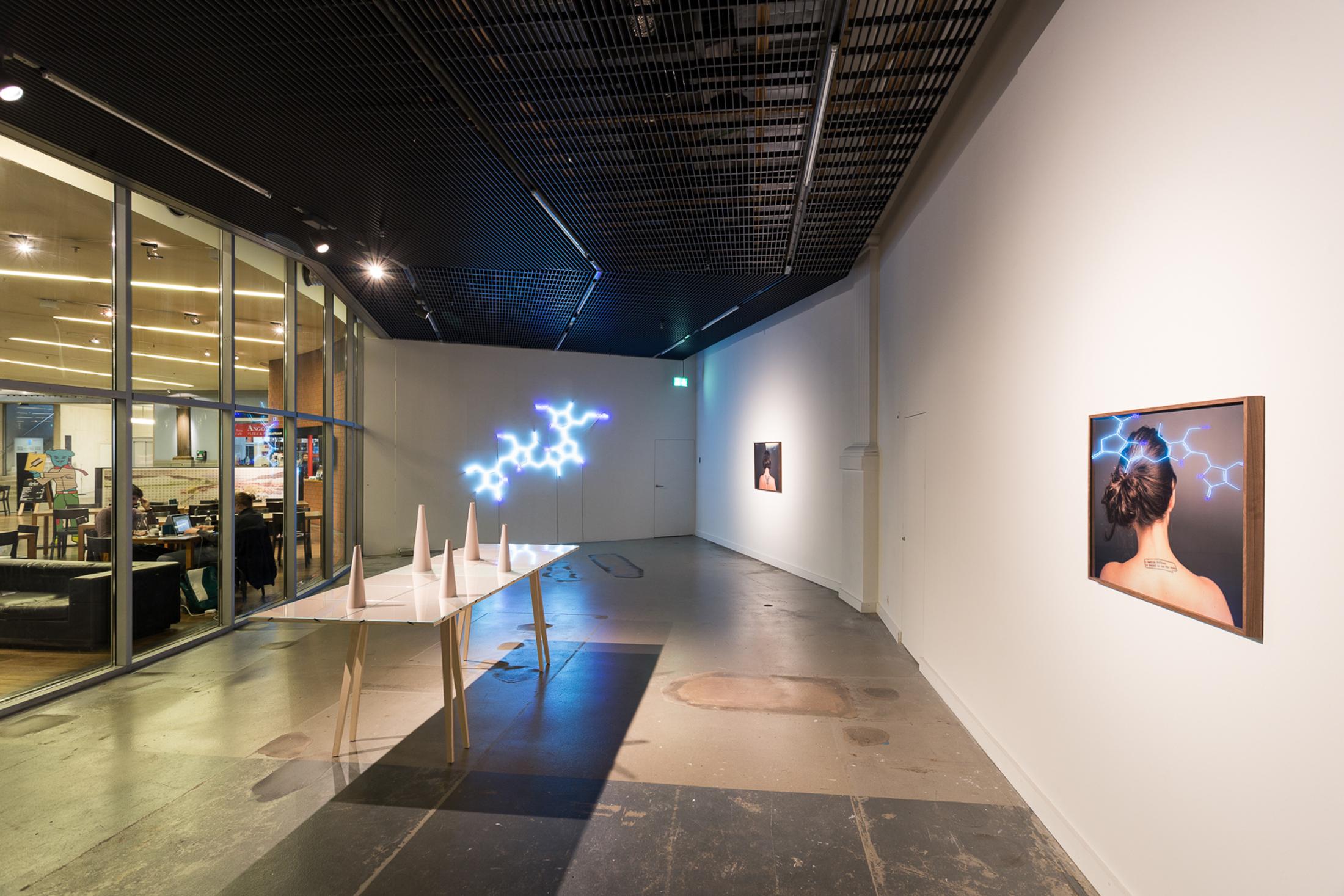 Courtesy: the artist / Photo: Kilian Bannwart, Kunsthalle Luzern