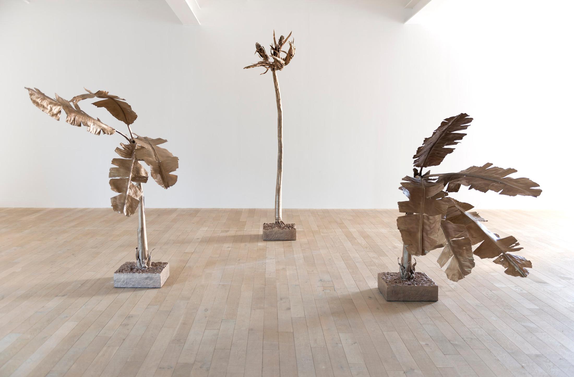 Exhibition View Los Carpinteros «Susurro del Palmar - The Whisper of the Palm Grove» at Galerie Peter Kilchmann / Courtesy: the artist and Galerie Peter Kilchmann, Zurich