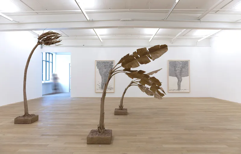 Exhibition View Los Carpinteros «Susurro del Palmar - The Whisper of the Palm Grove» at Galerie Peter Kilchmann / Courtesy: the artist and Galerie Peter Kilchmann, Zurich