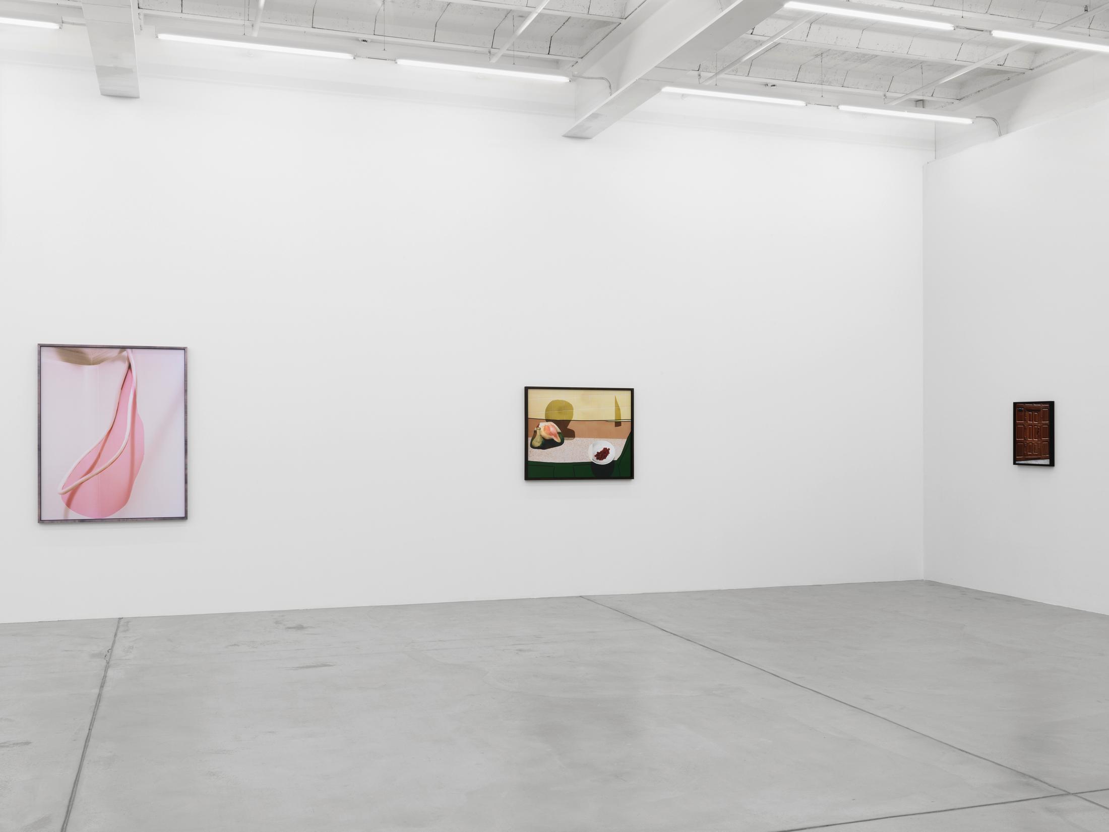 Exhibition view, Lucas Blalock "Ketchup As A Vegetable" / Courtesy: Galerie Eva Presenhuber, Zurich / New York / Photo: Stefan Altenburger