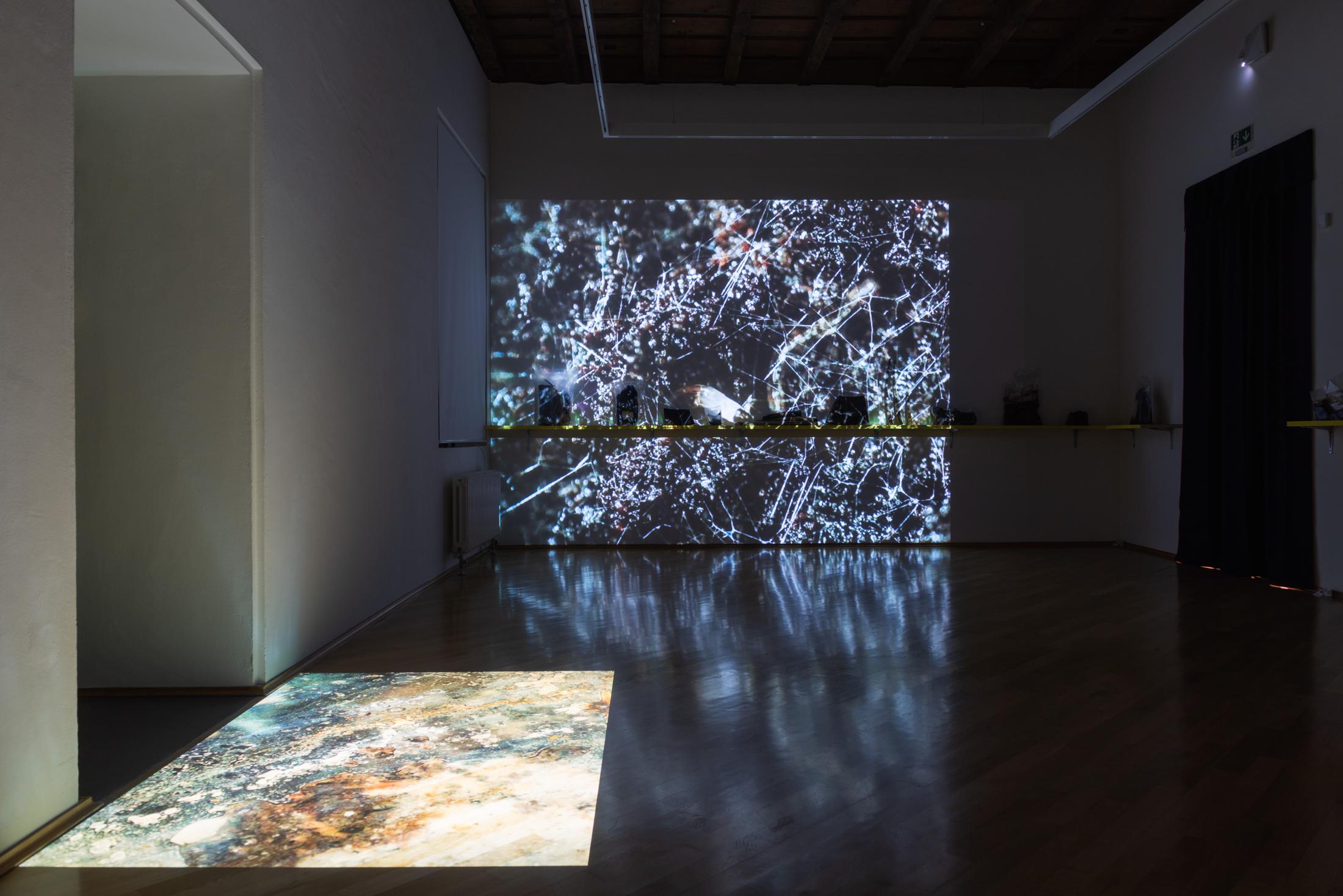 Exhibition View Lucas Herzig Solo Show «and often means always» at MASI, Lugano, 2022-2023 / Photo: Mattia Angelini / Courtesy: the artist and MASI Lugano