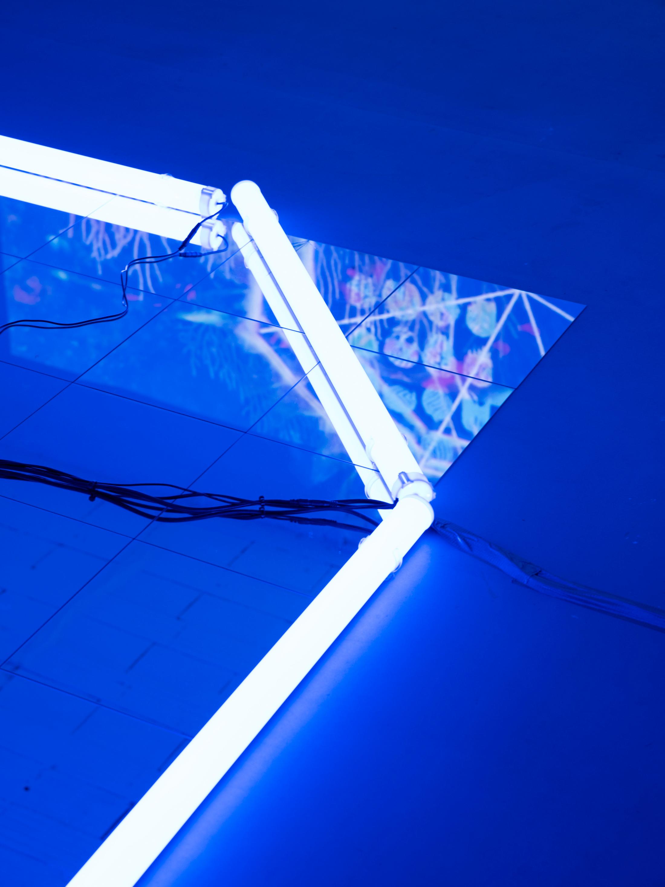 Exhibition View Maïté Chénière Soloshow «Octavial Scape» at 1.1, Basel, 2020 / Photo: James Bantone / Courtesy: the artist and 1.1, Basel