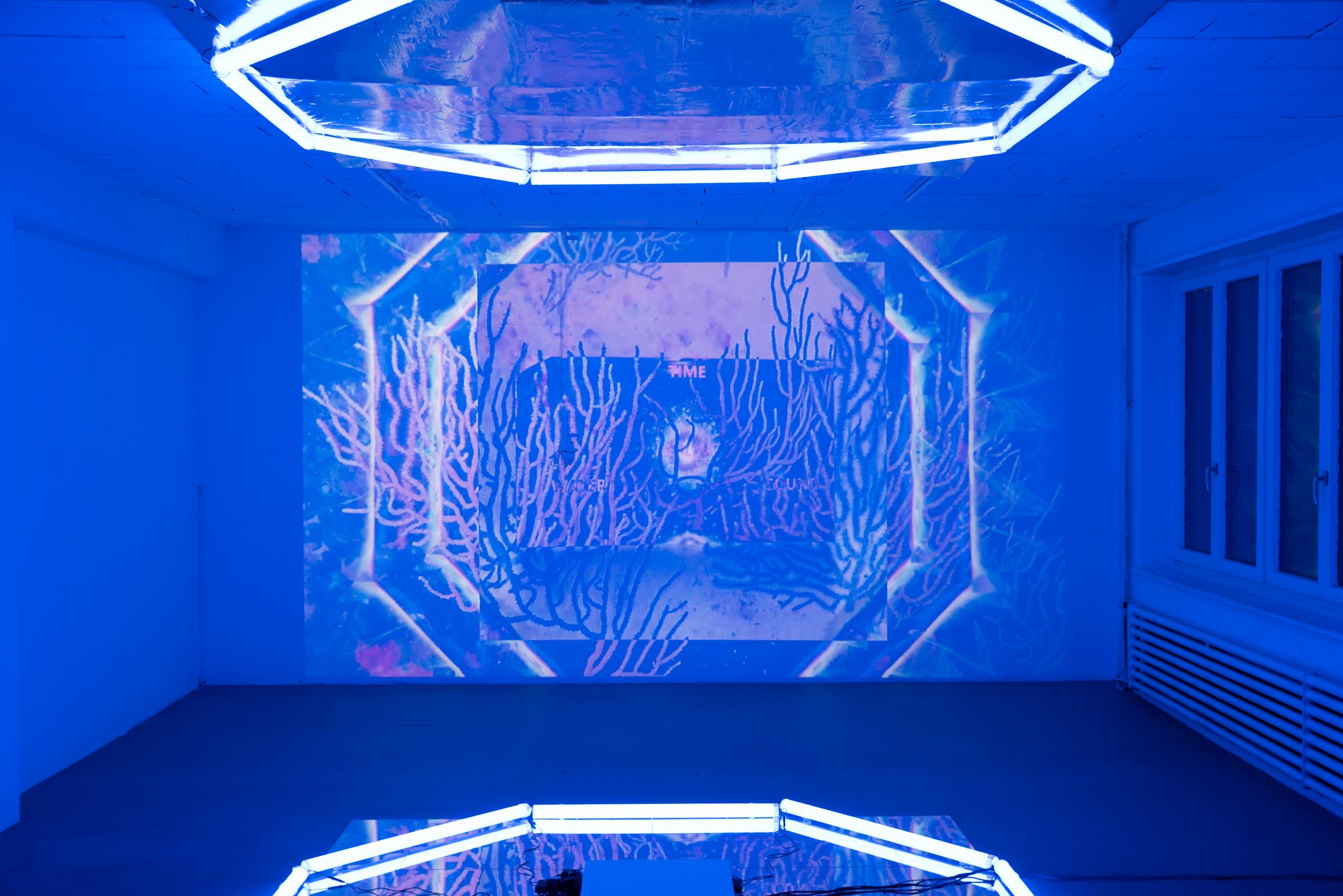 Exhibition View Maïté Chénière Soloshow «Octavial Scape» at 1.1, Basel, 2020 / Photo: James Bantone / Courtesy: the artist and 1.1, Basel