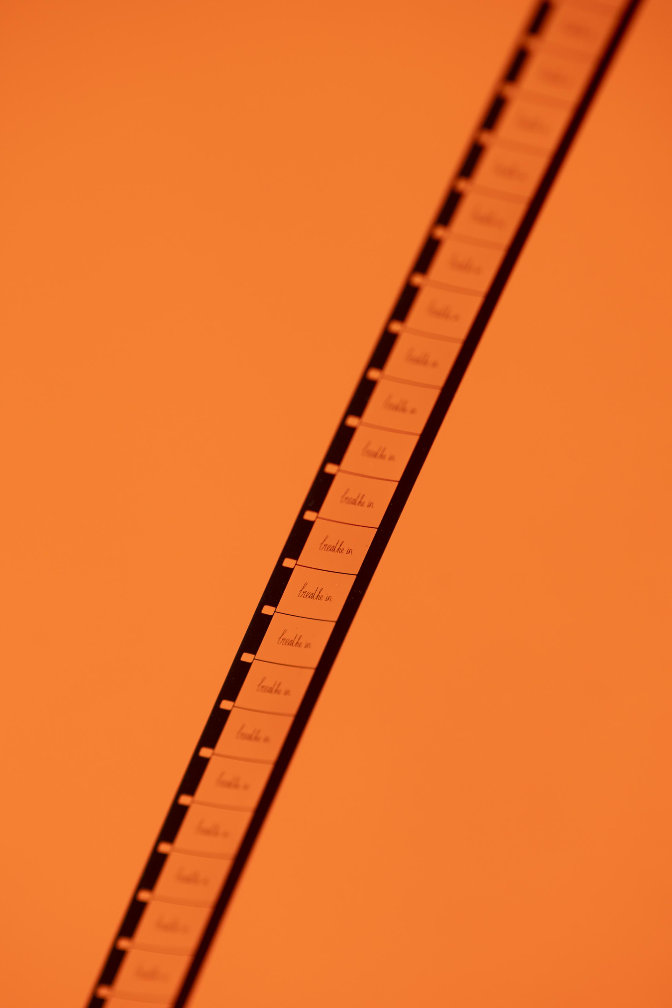 Exhibition View Manon de Boer Solo Show «Che bella voce; view on Manon de Boer, A pause (Detail), 2022» at Kunstmuseum St. Gallen, St. Gallen, 2022 / Photo: Sebastian Stadler / Courtesy: the artist and Jan Mot