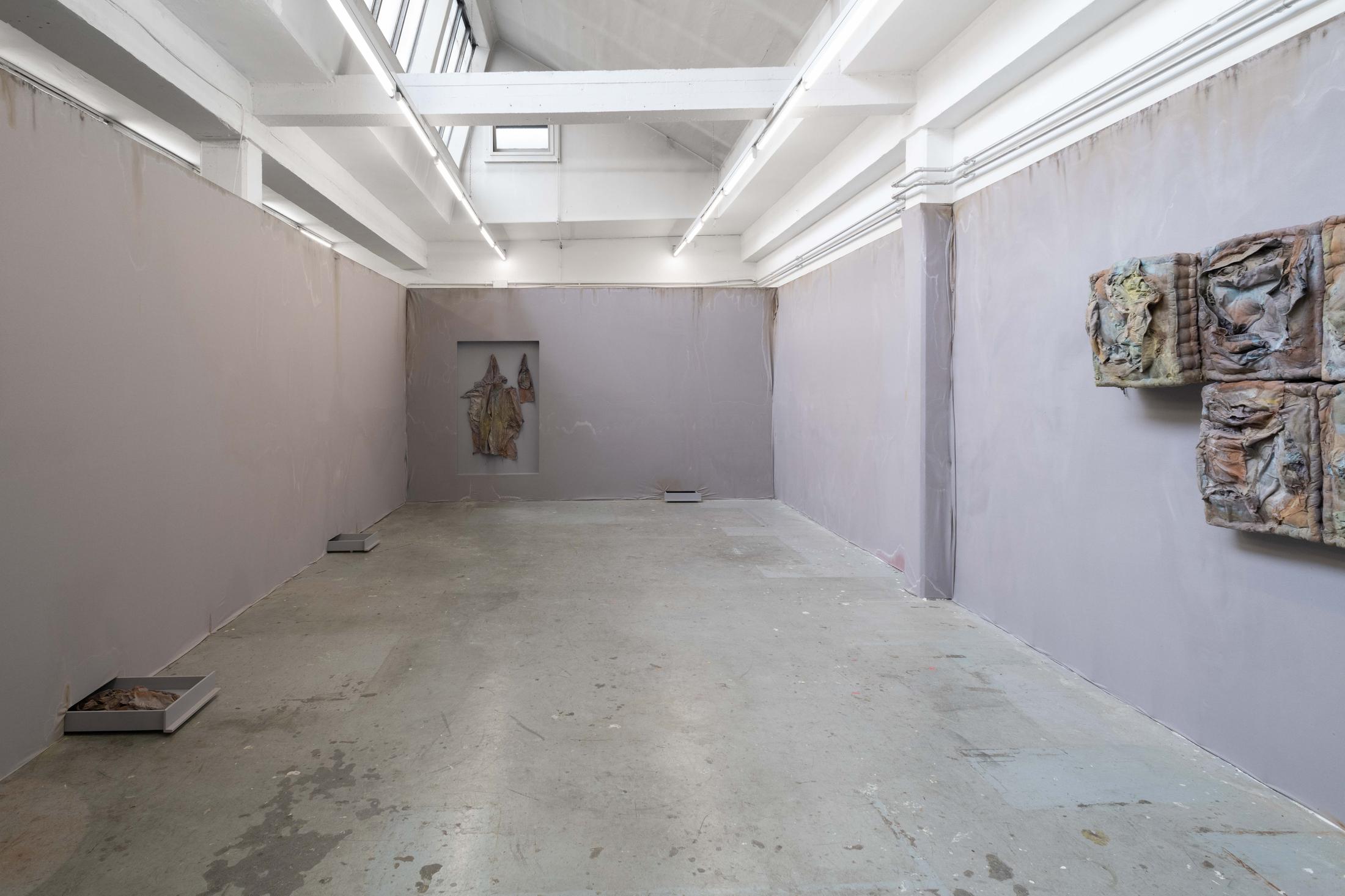 Exhibition View Manon Wertenbroek Solo Show «S(k)ins» at Toxi, Zurich, 2022 / Photo: Flavio Karrer / Courtesy: the artist and Toxi, Zurich