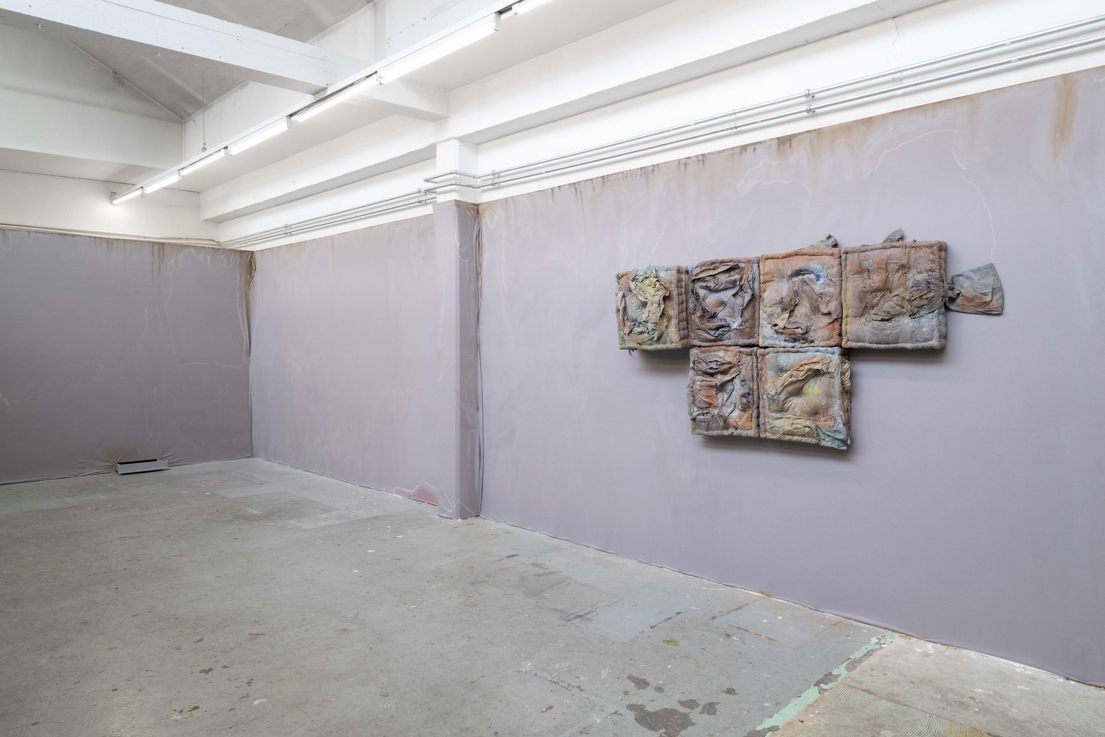 Exhibition View Manon Wertenbroek Solo Show «S(k)ins» at Toxi, Zurich, 2022 / Photo: Flavio Karrer / Courtesy: the artist and Toxi, Zurich
