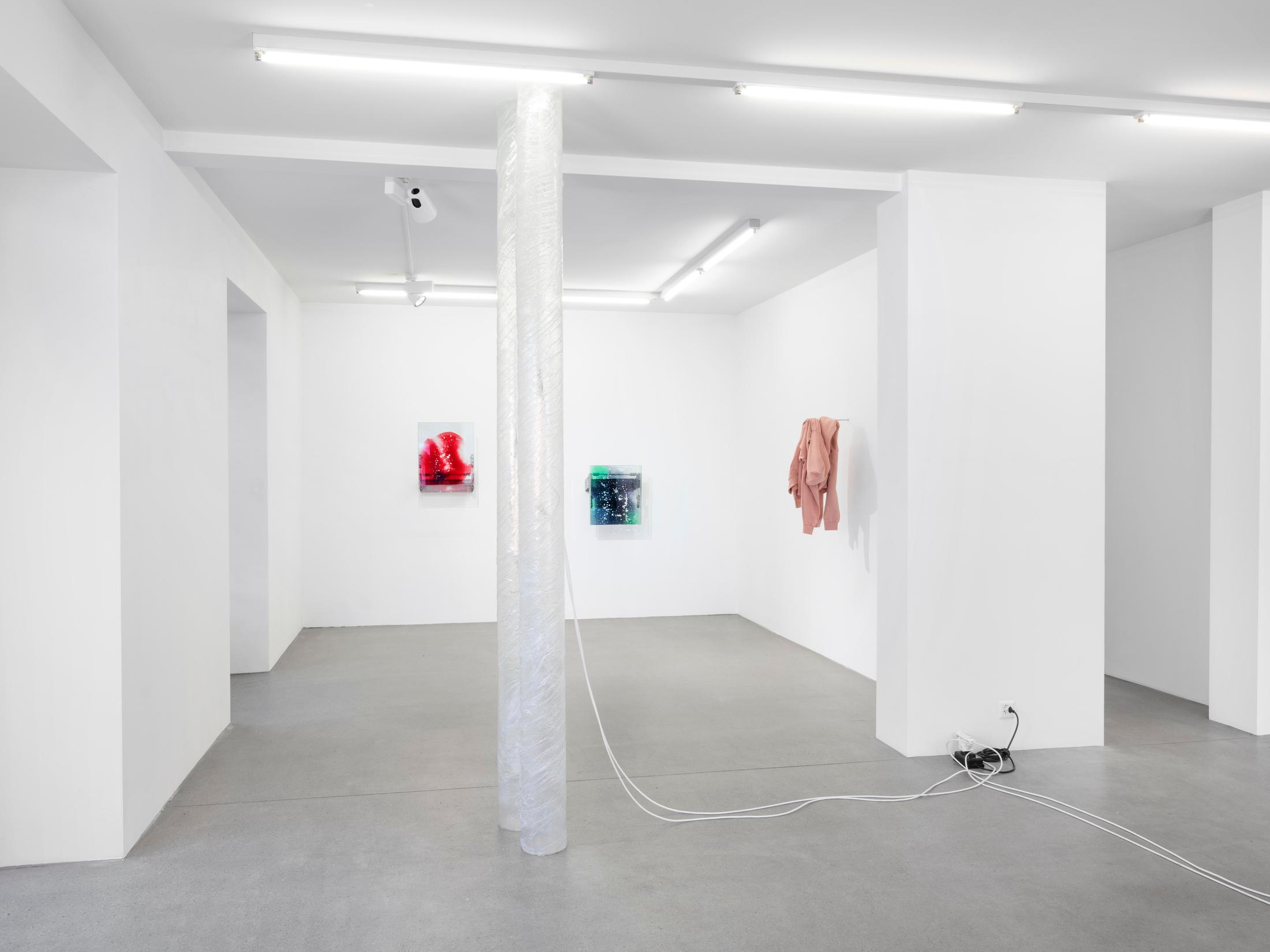 Exhibition View Manuel Burgener Soloshow «Interlude» at Galerie Maria Bernheim, Zurich, 2019 / Photo: Julien Gremaud / Courtesy: the artist and the gallery
