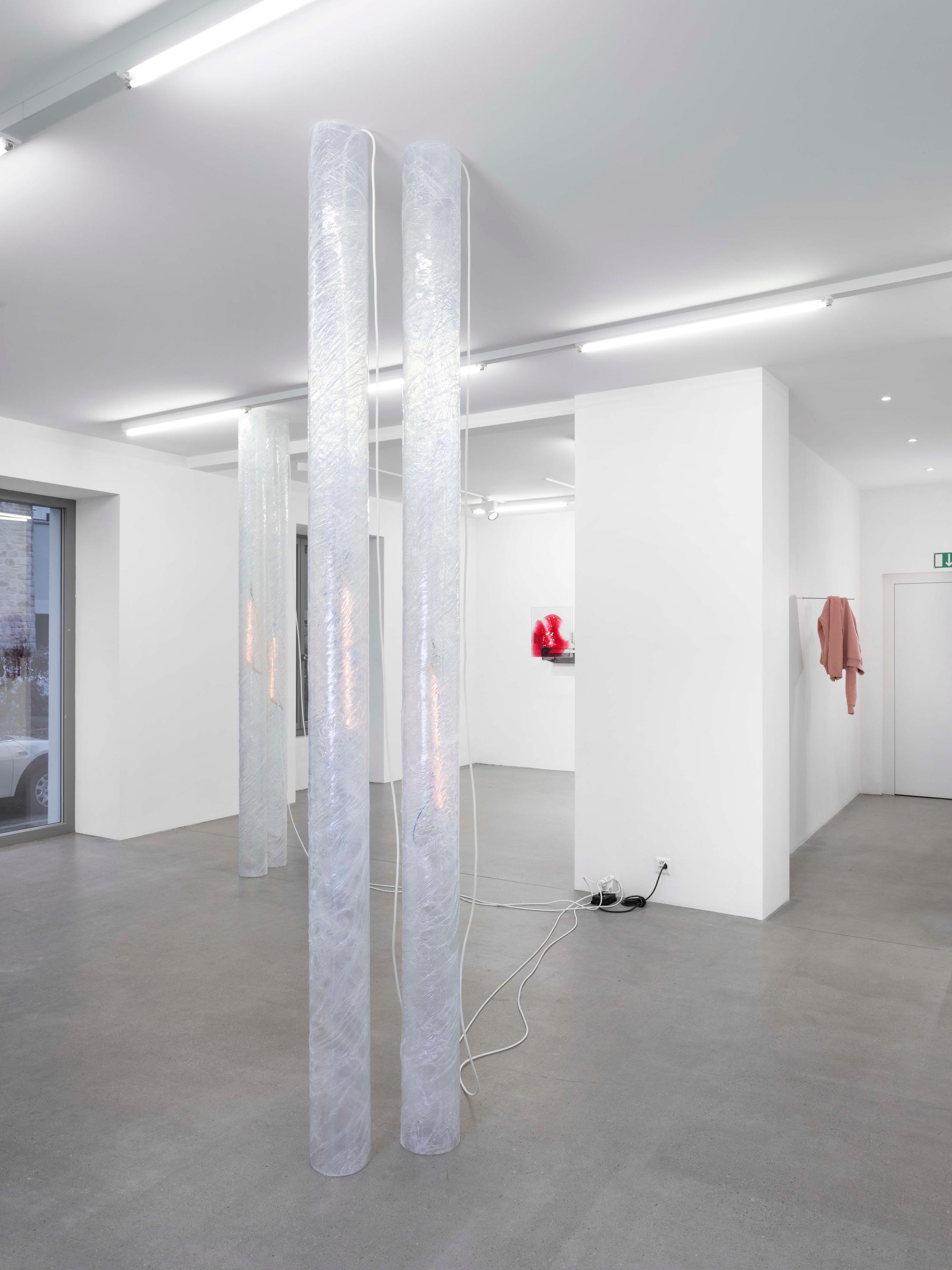 Exhibition View Manuel Burgener Soloshow «Interlude» at Galerie Maria Bernheim, Zurich, 2019 / Photo: Julien Gremaud / Courtesy: the artist and the gallery
