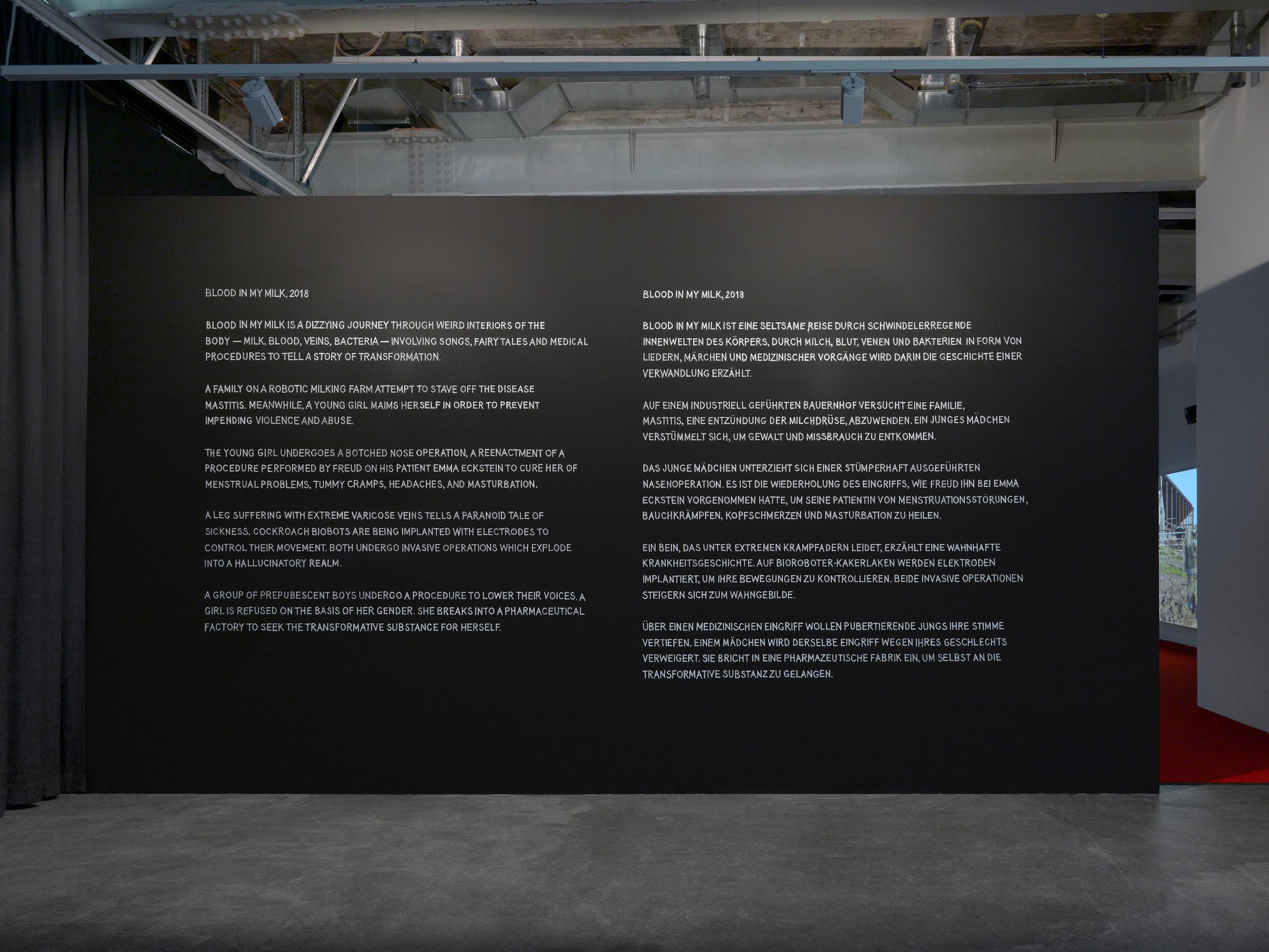 Exbition View Marianna Simnett Soloshow «LAB RATS» at Kunsthalle Zürich, Zurich, 2019 / Photo: Annik Wetter / Courtesy: the artist and Kunsthalle Zürich