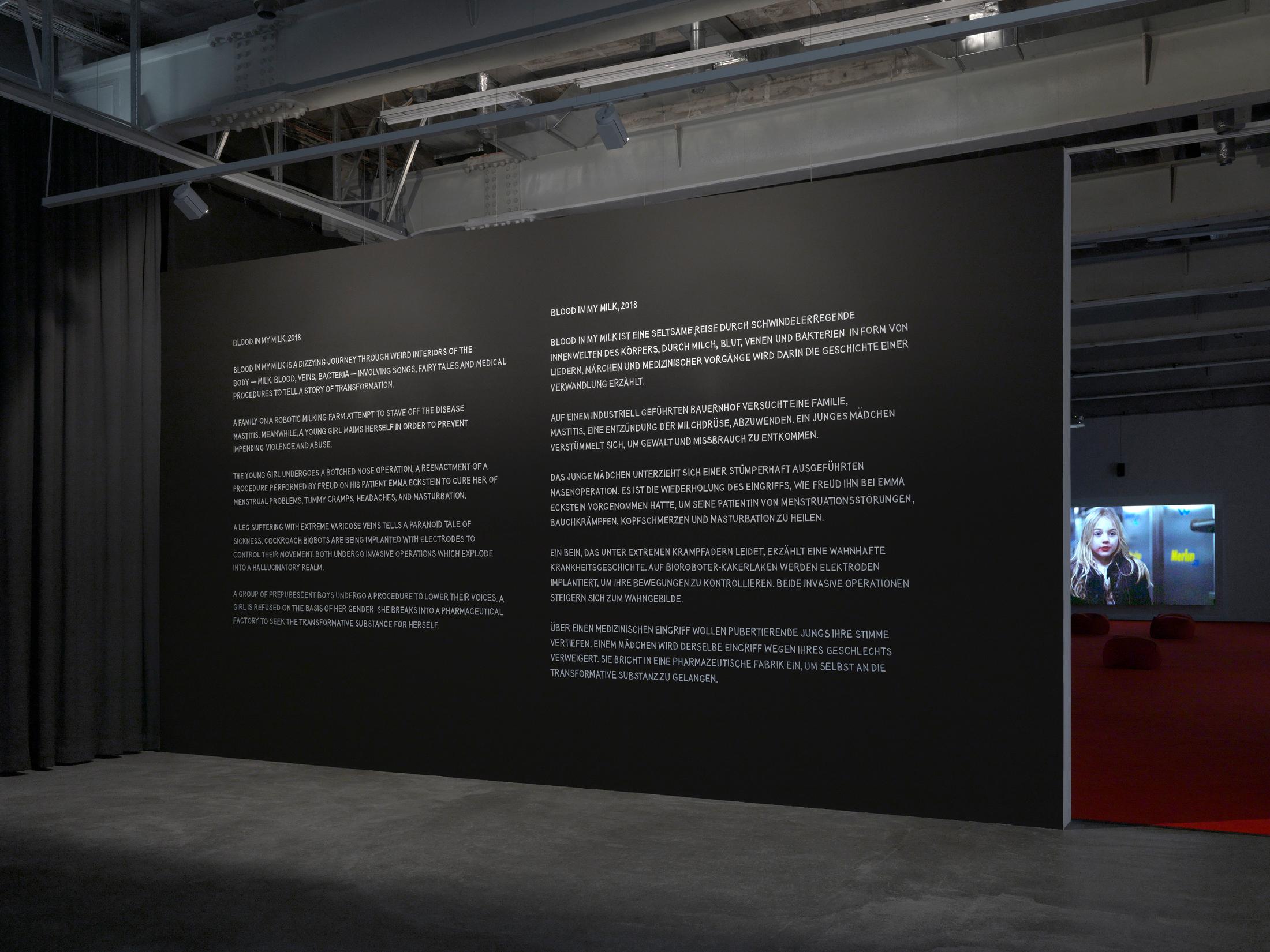 Exbition View Marianna Simnett Soloshow «LAB RATS» at Kunsthalle Zürich, Zurich, 2019 / Photo: Annik Wetter / Courtesy: the artist and Kunsthalle Zürich