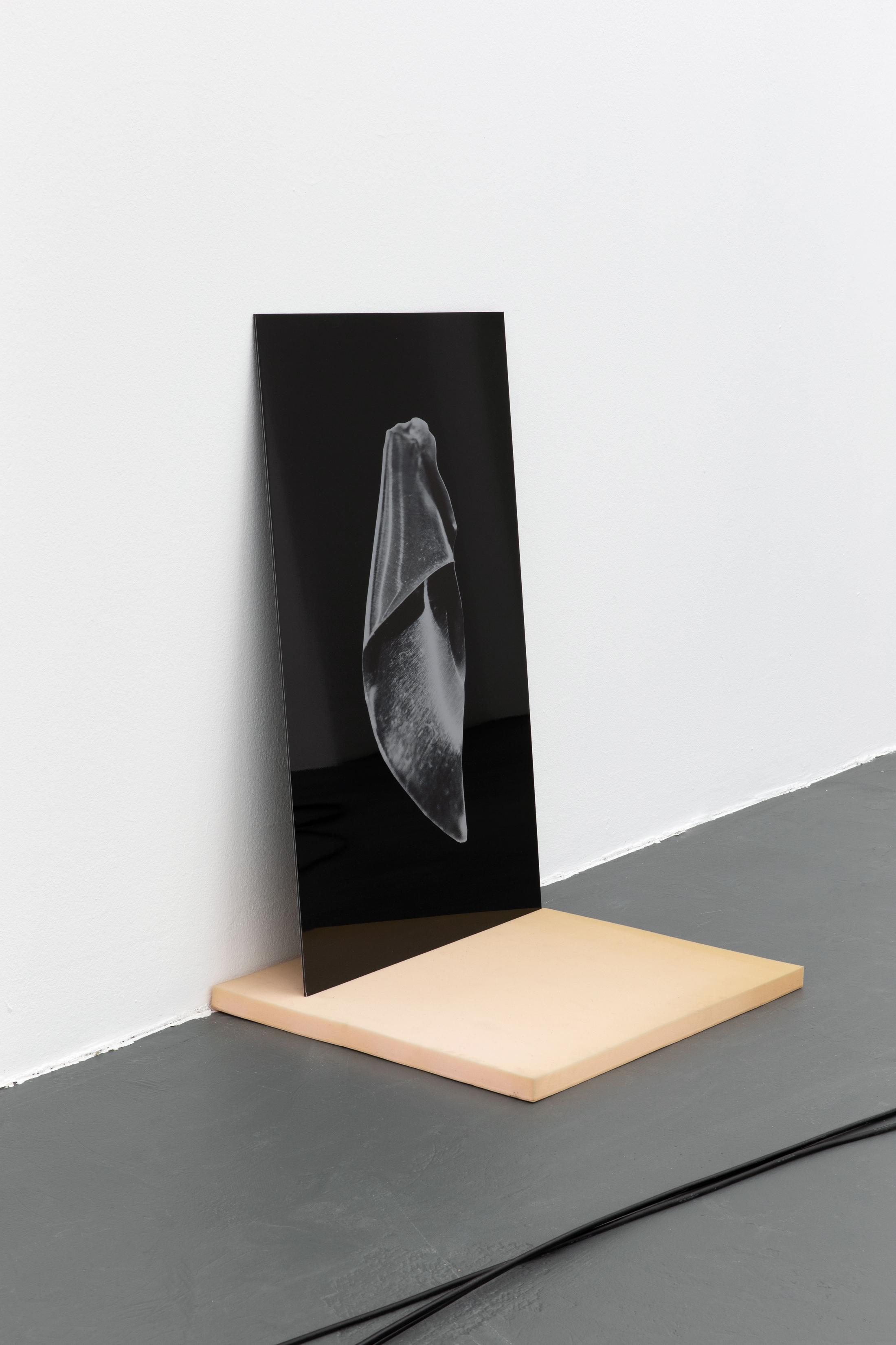 Exhibition View Marina Rosenfeld Solo Show «We'll start a fire; view on Marina Rosenfeld, Tube, 2019» at Kunsthaus Baselland, Muttenz, 2021 / Photo: Gina Folly Courtesy: the artist and Kunsthaus Baselland