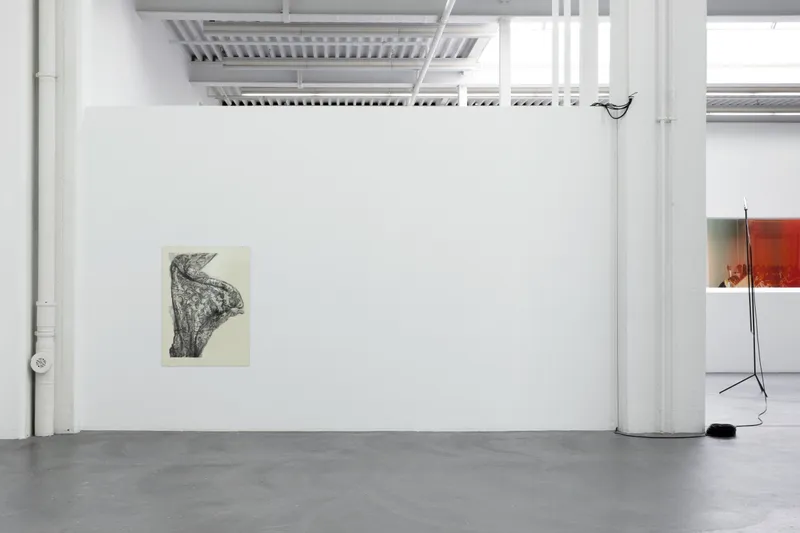 Exhibition View Marina Rosenfeld Solo Show «We'll start a fire; view on Marina Rosenfeld, Annotation (Bow); Receiver #3; Curtain, 2021» at Kunsthaus Baselland, Muttenz, 2021 / Photo: Gina Folly Courtesy: the artist and Kunsthaus Baselland