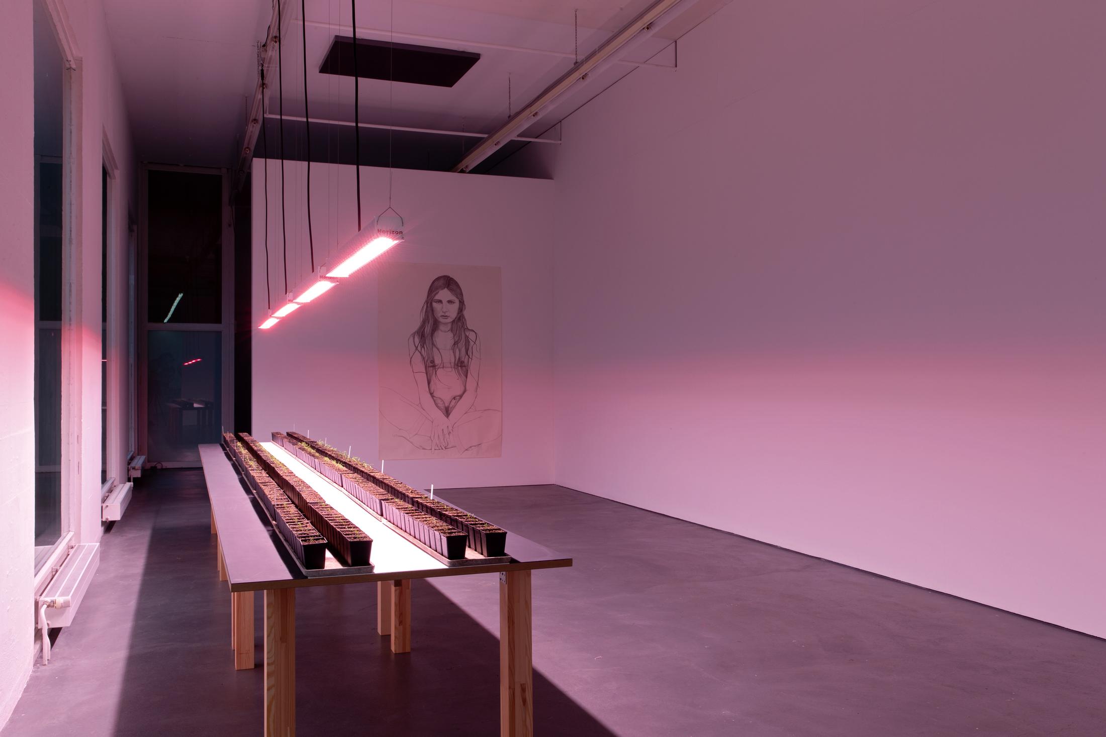Exhibition View Marlene McCarty Soloshow «Into the Weeds; view on Marlene Olive – June 21, 1976, 1995-1997» at Kunsthaus Baselland, Muttenz, 2020 / Photo: Gina Folly / Courtesy: the artist