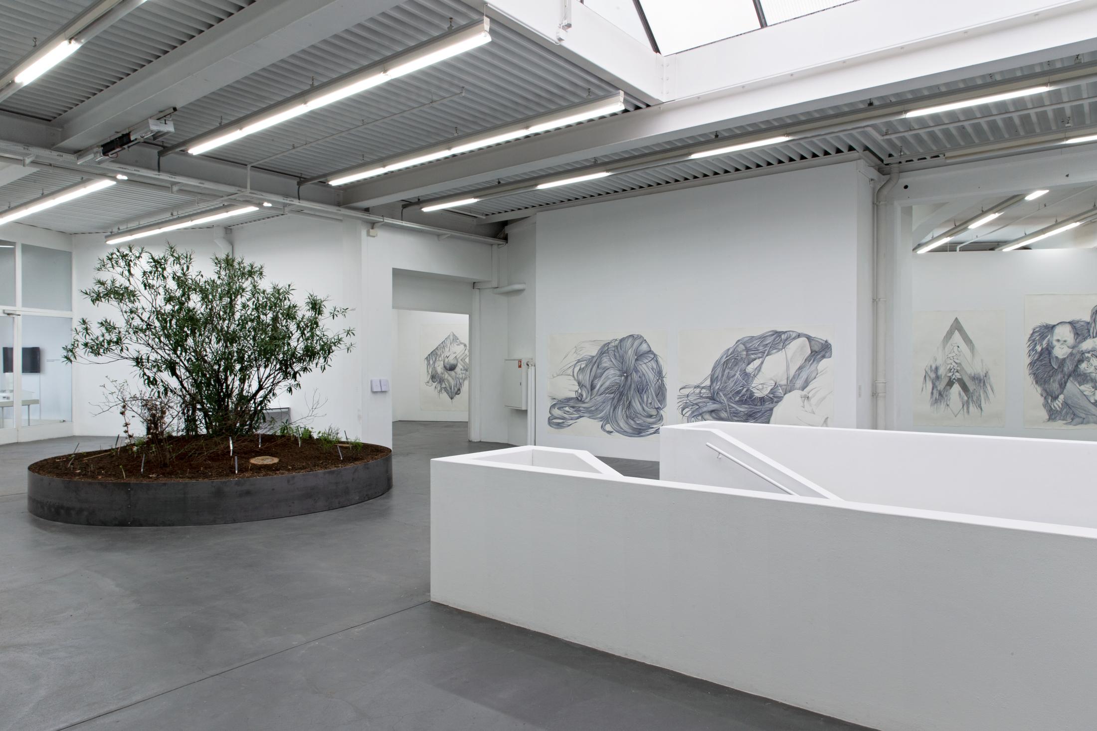 Exhibition View Marlene McCarty Soloshow «Into the Weeds; view on Into the Weeds, 2019 / Devil’s Snare, Male Pattern Baldness, Sag, Modern Mastery, Tumor or Goiter or Mammilla, Hell’s Bells, 2019 / “14”(2) / “14”(4), 2014 / Invocation, Mutton, Escutcheon with Chevron, Rosary Pea, Body Odor, Benediction and All the Good They’d Do, 2019» at Kunsthaus Baselland, Muttenz, 2020 / Photo: Gina Folly / Courtesy: the artist and Sikkema Jenkins & Co. Gallery