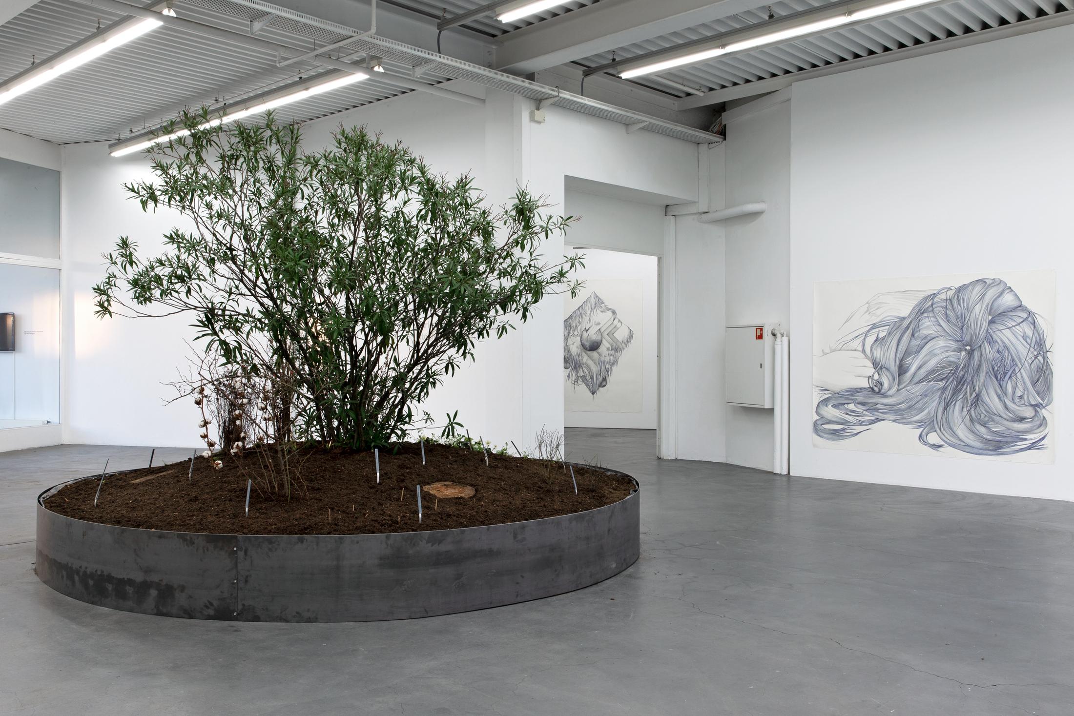 Exhibition View Marlene McCarty Soloshow «Into the Weeds; view on Into the Weeds, 2019 / Devil’s Snare, Male Pattern Baldness, Sag, Modern Mastery, Tumor or Goiter or Mammilla, Hell’s Bells, 2019 / “14”(2), 2014» at Kunsthaus Baselland, Muttenz, 2020 / Photo: Gina Folly / Courtesy: the artist