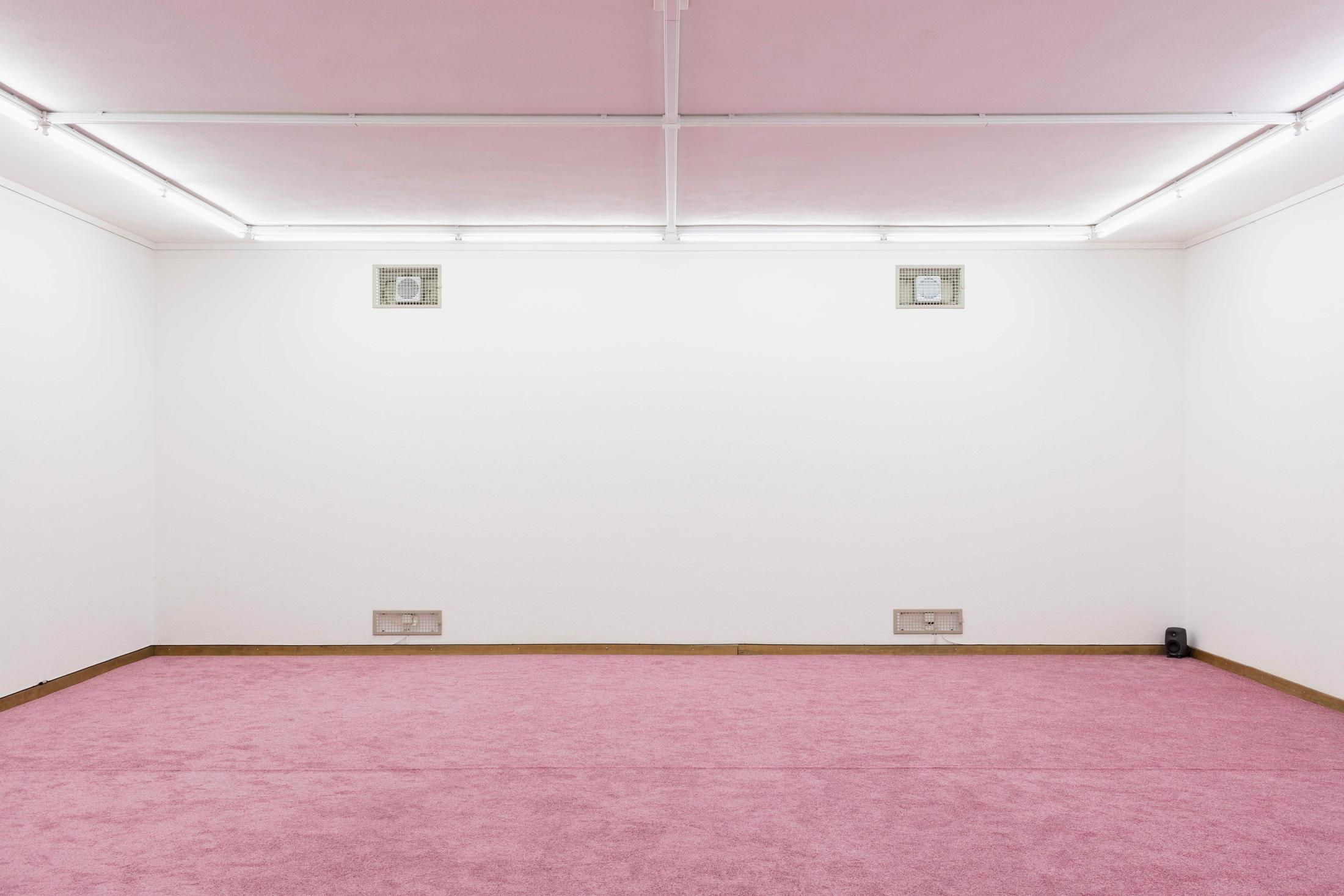 Exhibition View Marta Riniker-Radich "A life by default, 2018" at Kunsthaus Glarus / Photo: Gunnar Meier / Courtesy: the artist