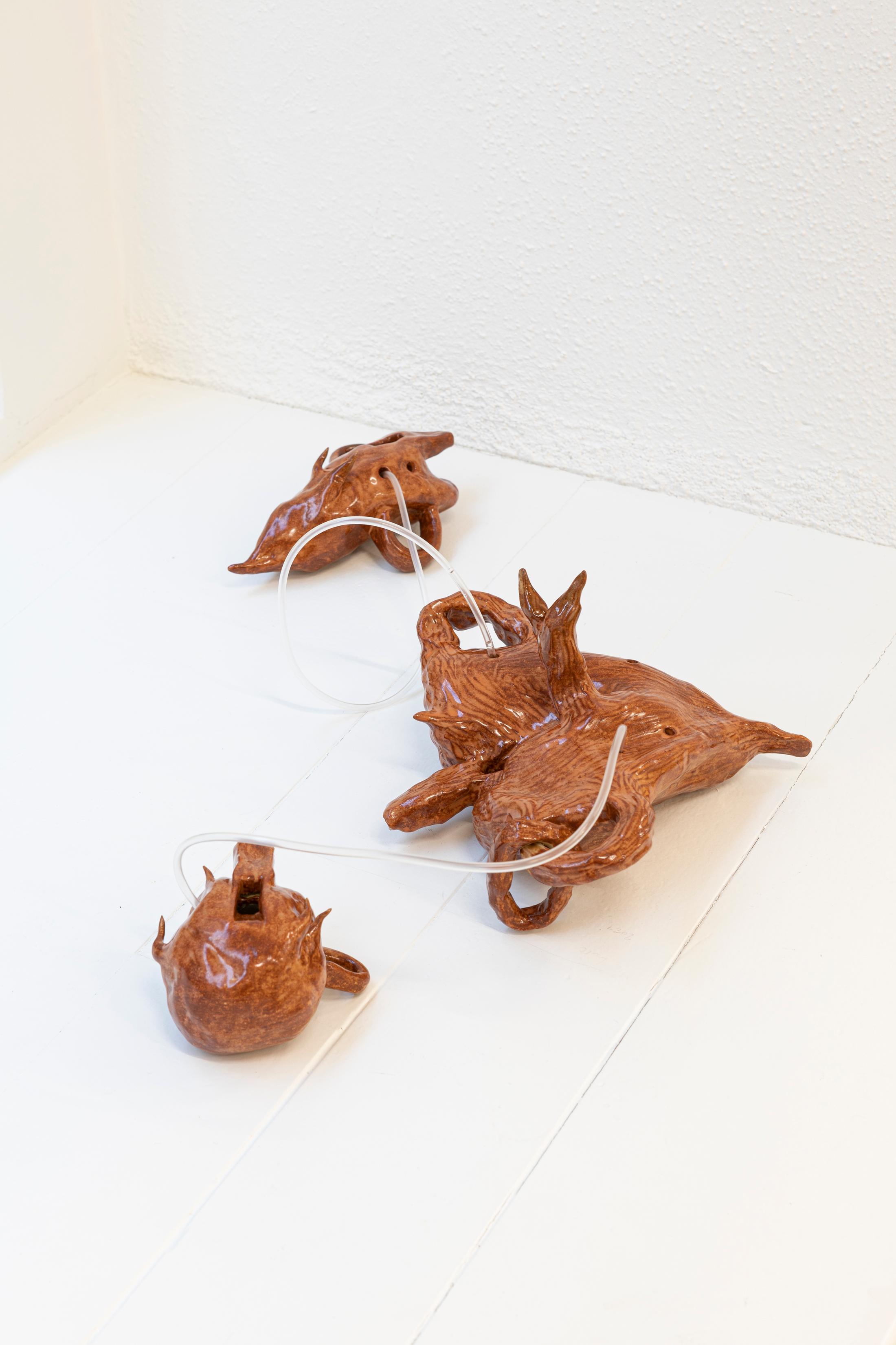 Exhibition View Maya Hottarek and Julian Zehnder Duo Show «Isomorphus Drip» at Krone Couronne, Biel/Bienne, 2021 / Photo: Michal Florence Schorro / Courtesy: the artists and Krone Couronne