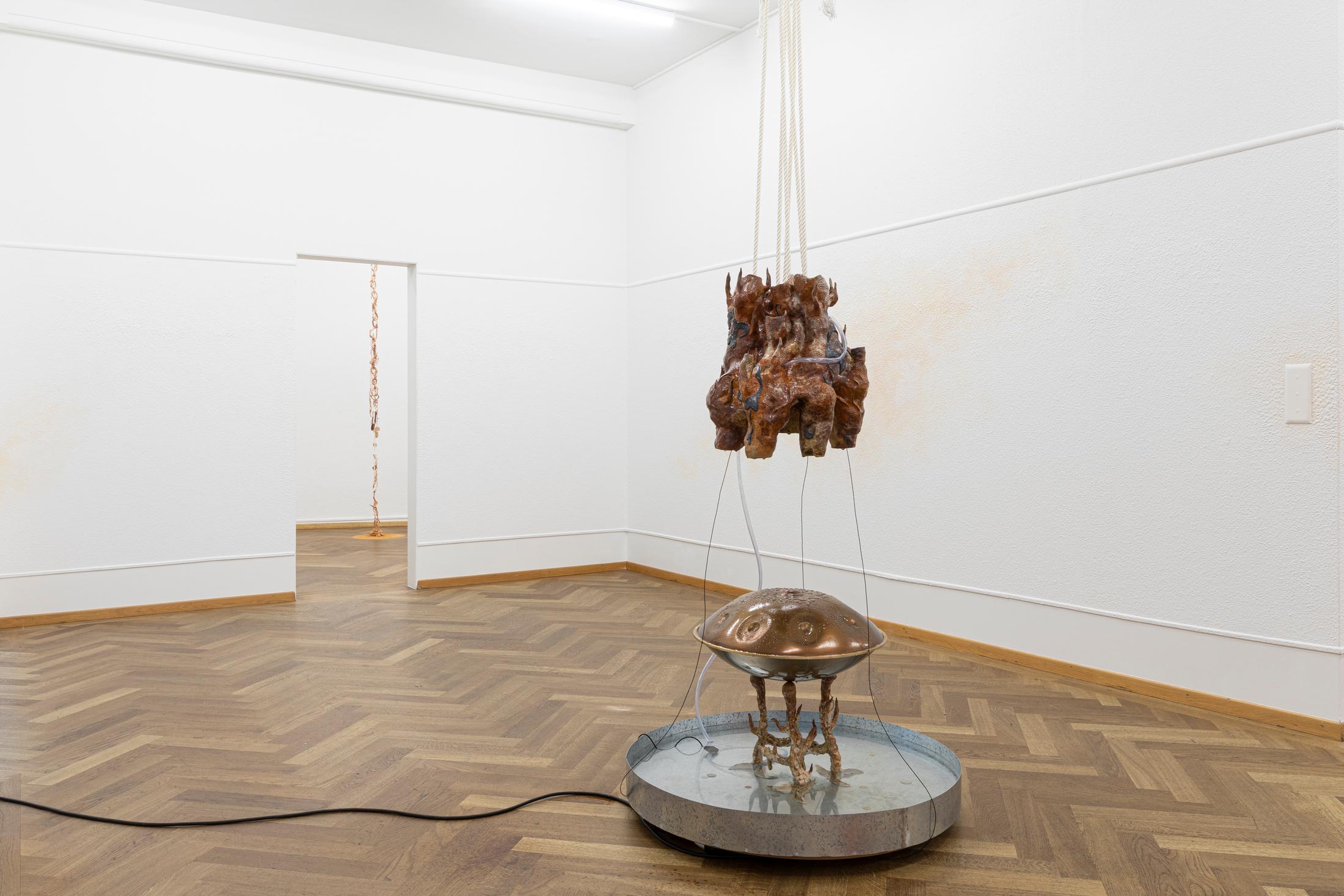 Exhibition View Maya Hottarek and Julian Zehnder Duo Show «Isomorphus Drip» at Krone Couronne, Biel/Bienne, 2021 / Photo: Michal Florence Schorro / Courtesy: the artists and Krone Couronne