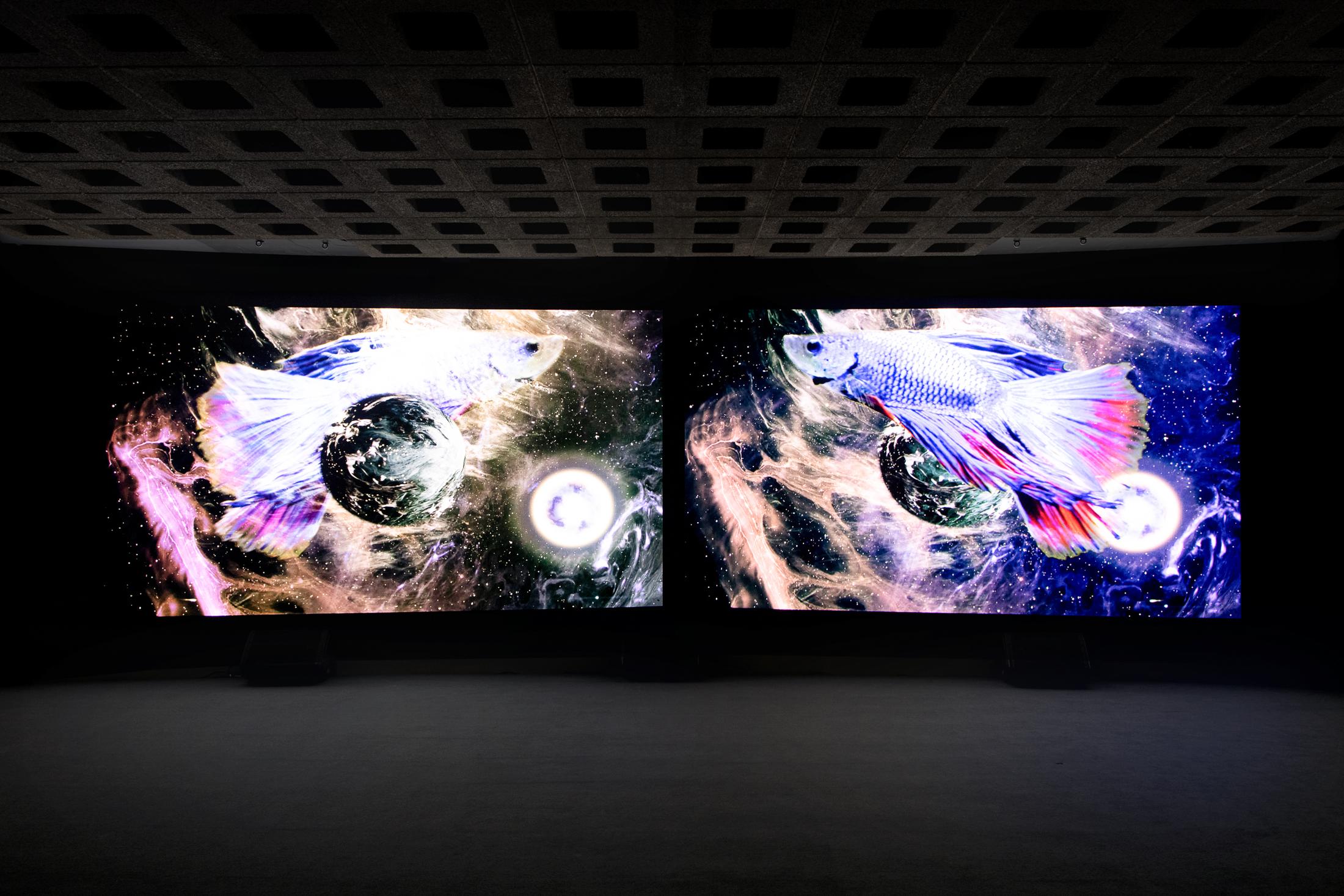 Exhibition View Groupshow «Metamorphosis Overdrive; view on Rä di Martino, Afterall, 2019 (video still)» at Kunstmuseum St. Gallen, St. Gallen, 2020 / Photo: Sebastian Stadler / Courtesy: the artist and Kunstmuseum St. Gallen