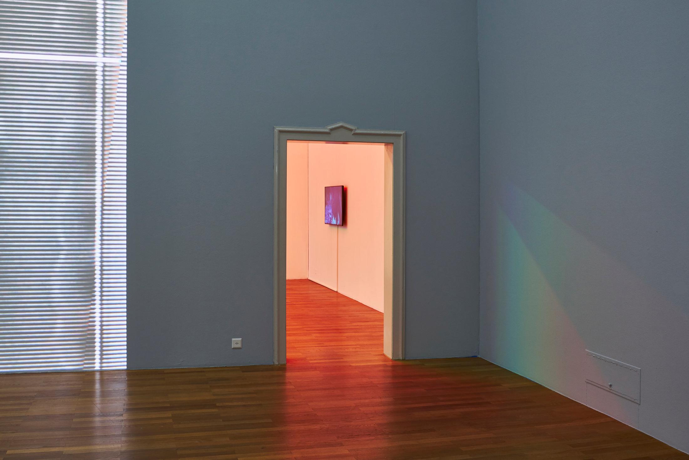 Exhibition View Michael Etzensperger Soloshow at Kunsthalle Winterthur, Winterthur, 2019 / Photo and Courtesy: Michael Etzensperger