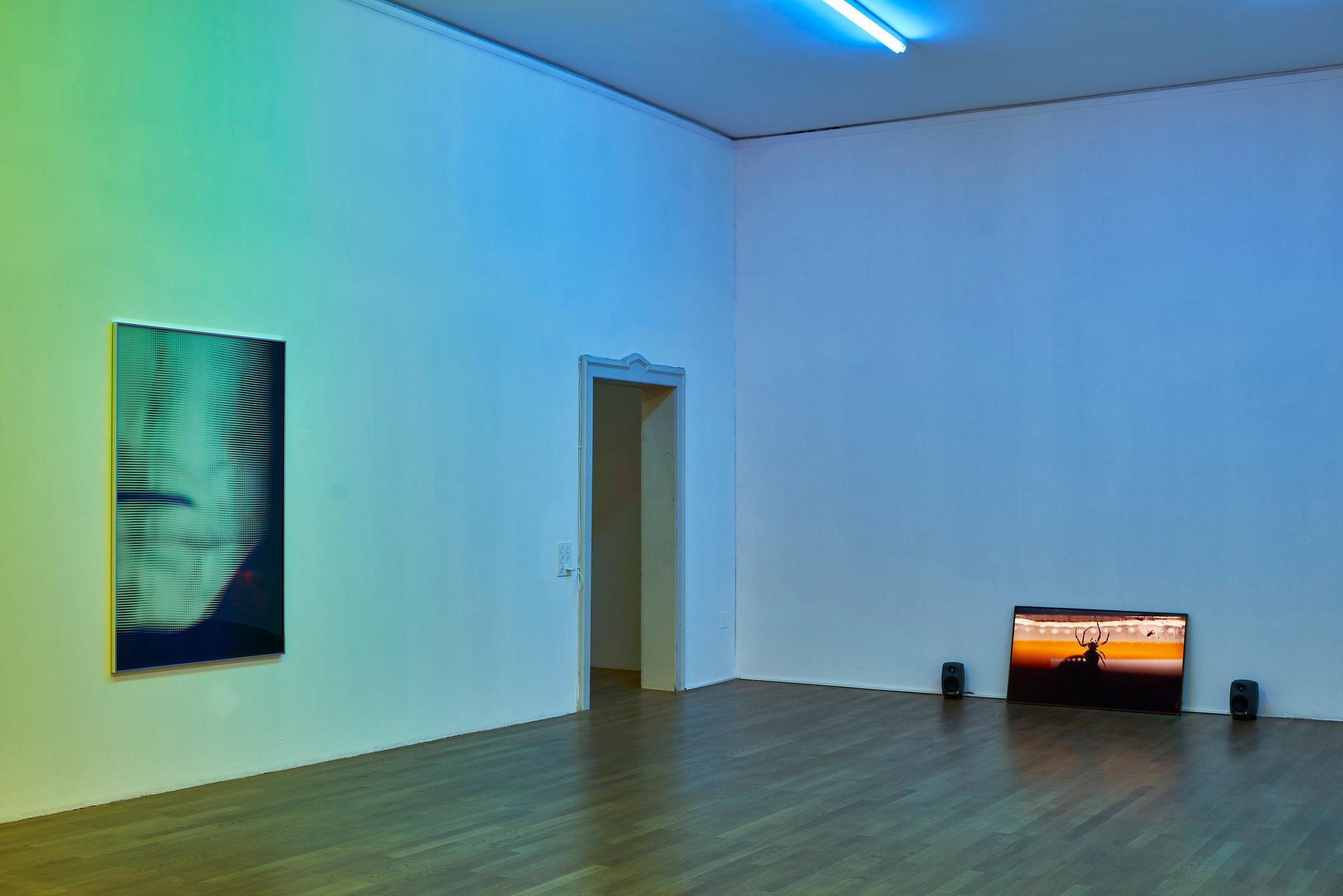 Exhibition View Michael Etzensperger Soloshow at Kunsthalle Winterthur, Winterthur, 2019 / Photo and Courtesy: Michael Etzensperger