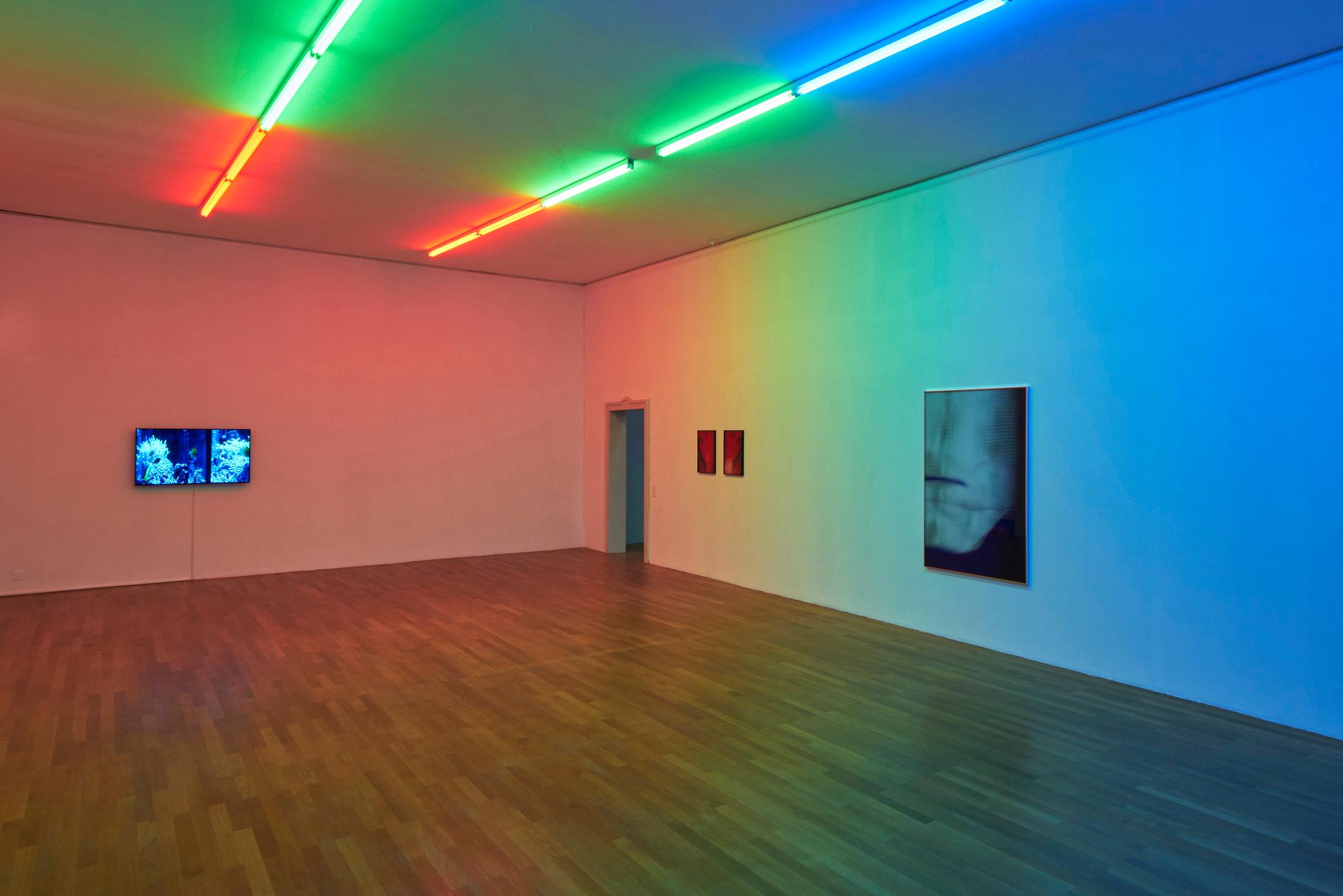 Exhibition View Michael Etzensperger Soloshow at Kunsthalle Winterthur, Winterthur, 2019 / Photo and Courtesy: Michael Etzensperger