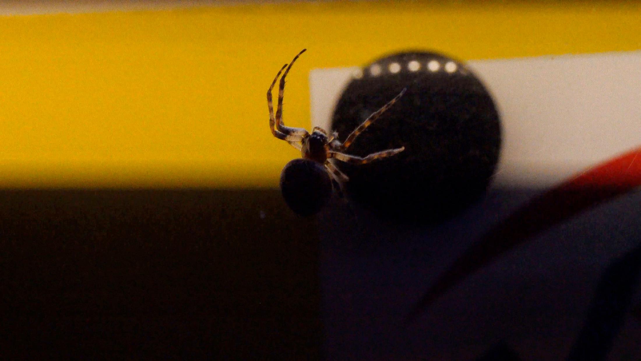 Exhibition View Michael Etzensperger Soloshow at Kunsthalle Winterthur, Winterthur, 2019 / Photo and Courtesy: Michael Etzensperger