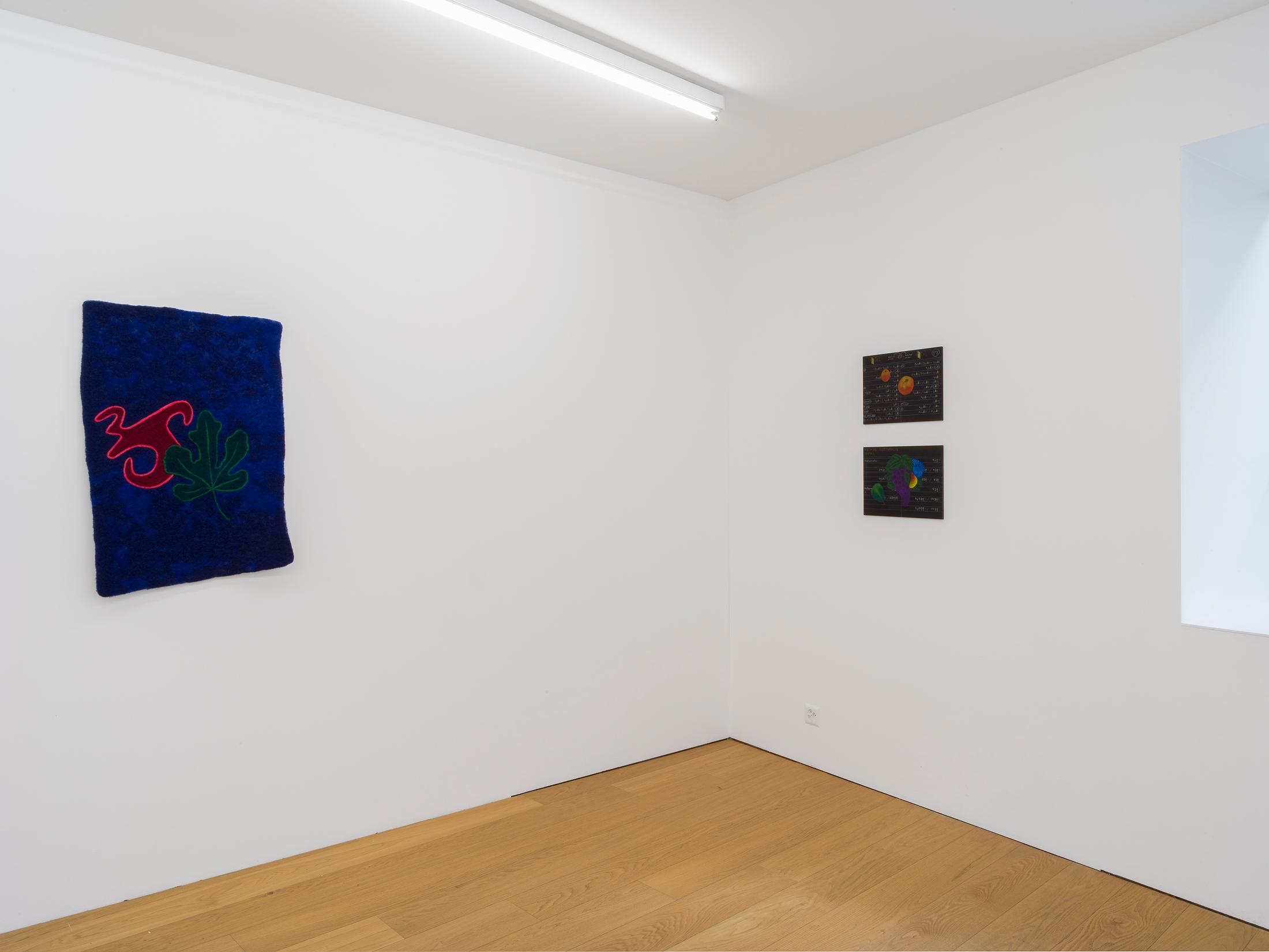 Exhibition View Miriam Visaczki Solo Show «Ot Otijot» at Kirchgasse Gallery, Steckborn, 2022 / Photo: CE / Courtesy: the artist and Kirchgasse Gallery