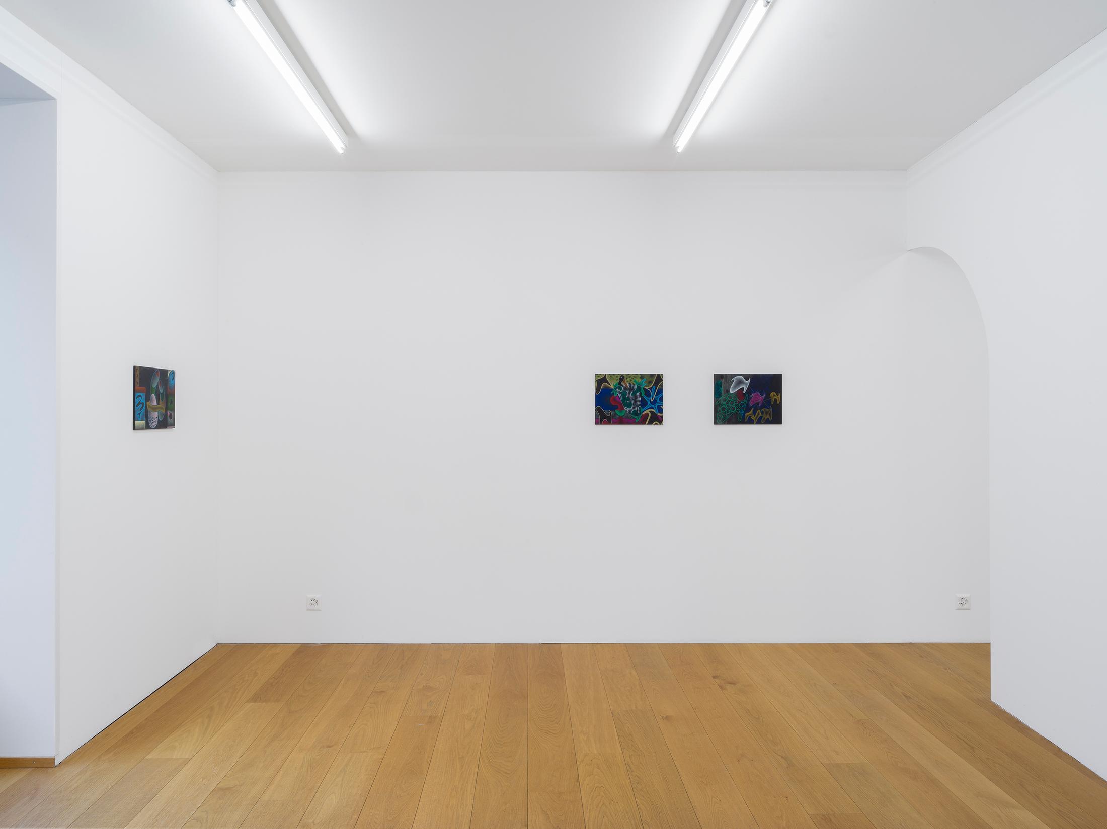 Exhibition View Miriam Visaczki Solo Show «Ot Otijot» at Kirchgasse Gallery, Steckborn, 2022 / Photo: CE / Courtesy: the artist and Kirchgasse Gallery